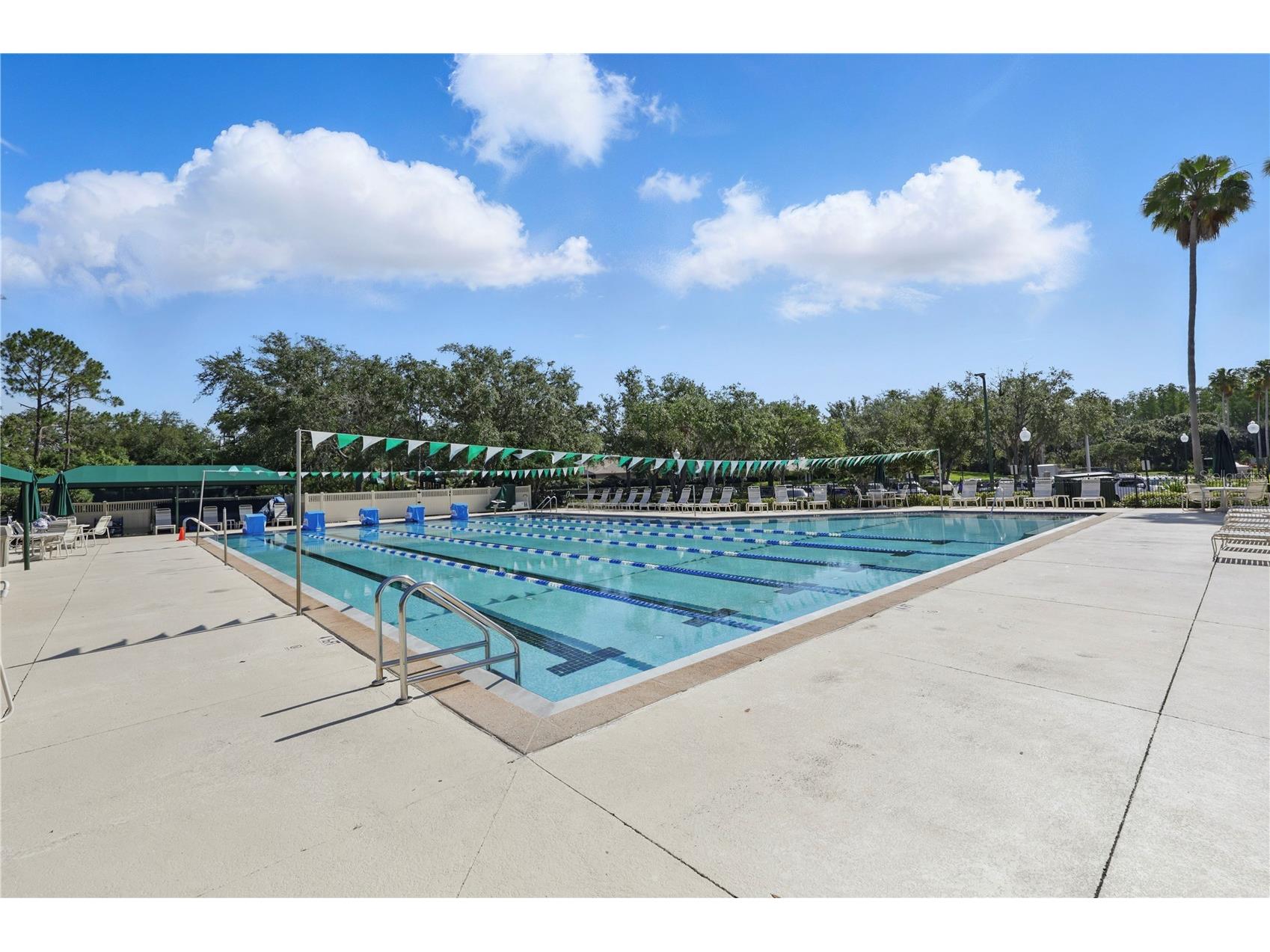 10232 Estuary Drive Tampa FL 33647 TB8512167 image38