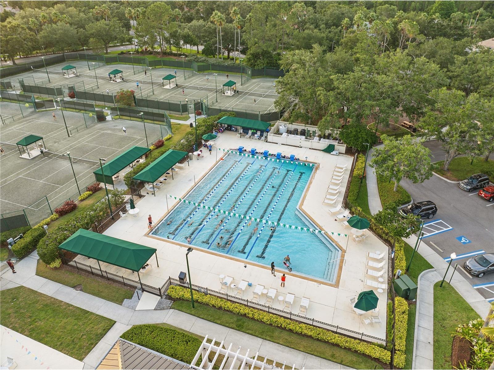 10232 Estuary Drive Tampa FL 33647 TB8512167 image39