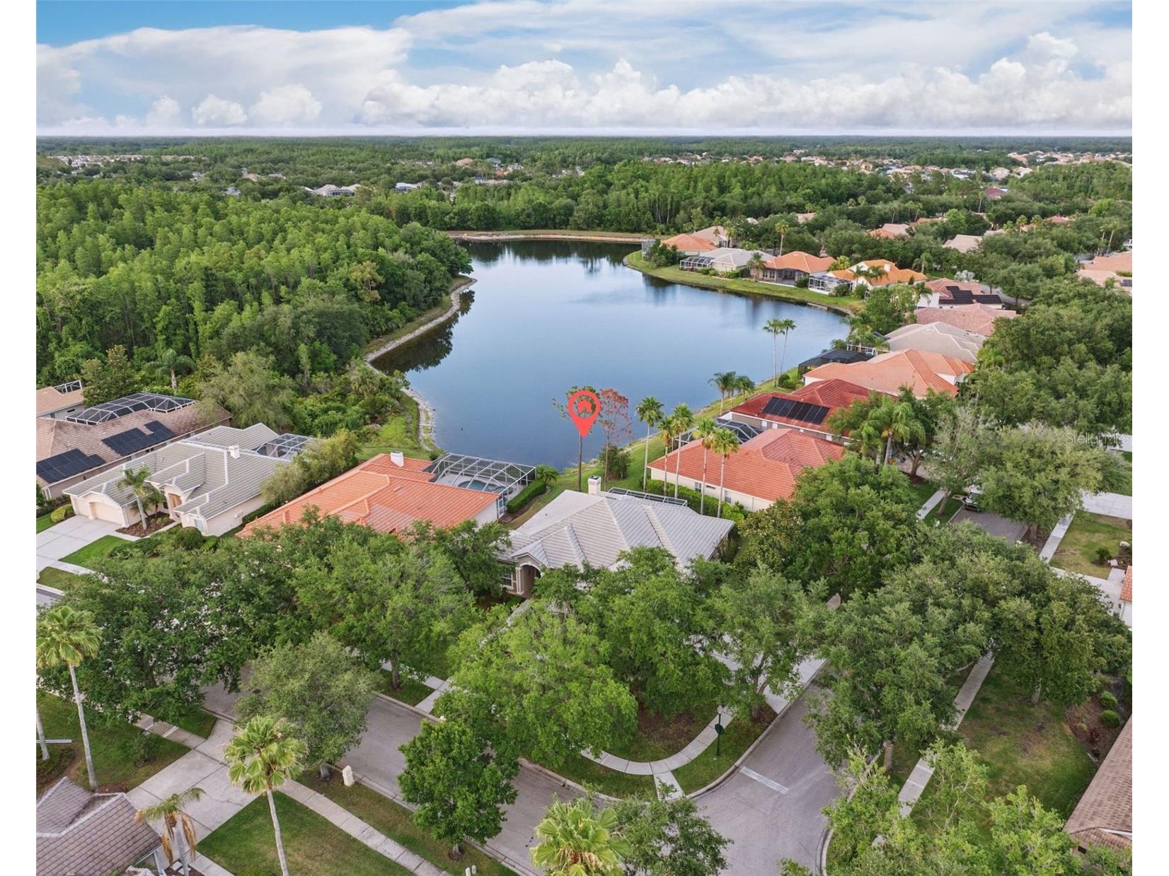 10232 Estuary Drive Tampa FL 33647 TB8512167 image4