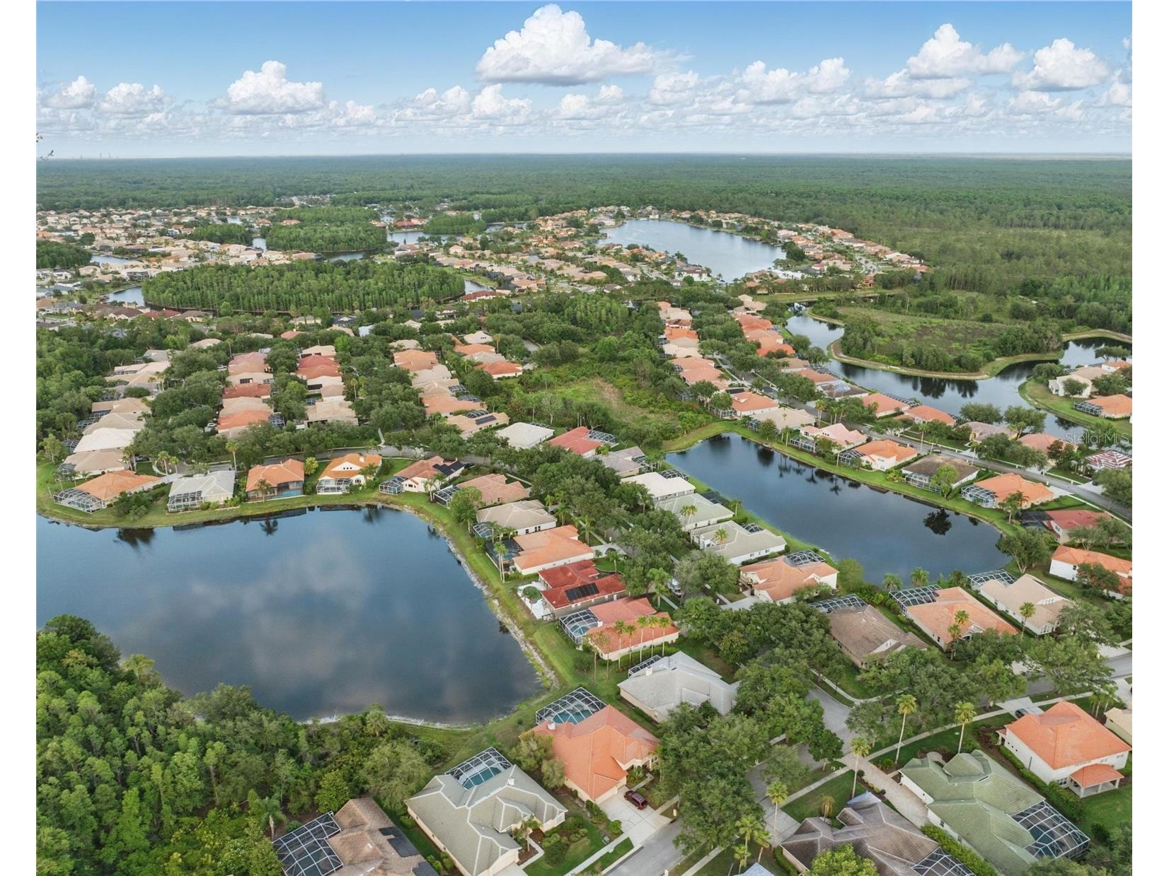 10232 Estuary Drive Tampa FL 33647 TB8512167 image41