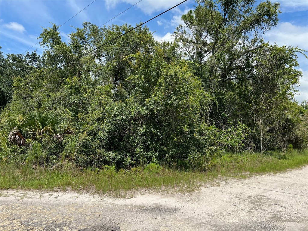 10232 Field Street New Port Richey FL 34654 TB8401631 image1