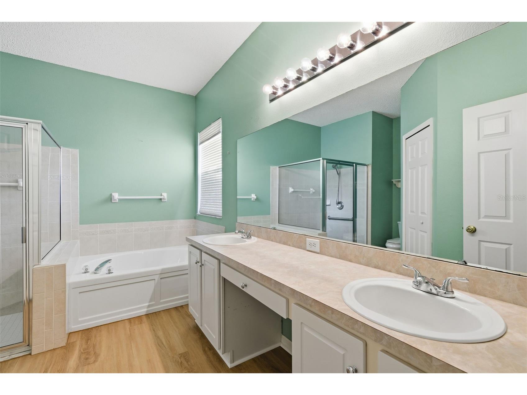 10232 Grant Creek Drive Tampa FL 33647 TB8444362 image20