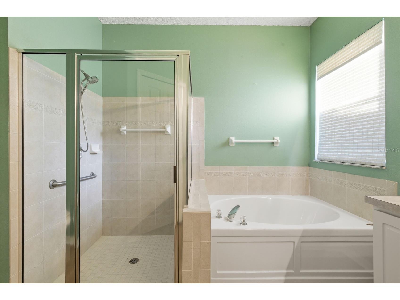 10232 Grant Creek Drive Tampa FL 33647 TB8444362 image21