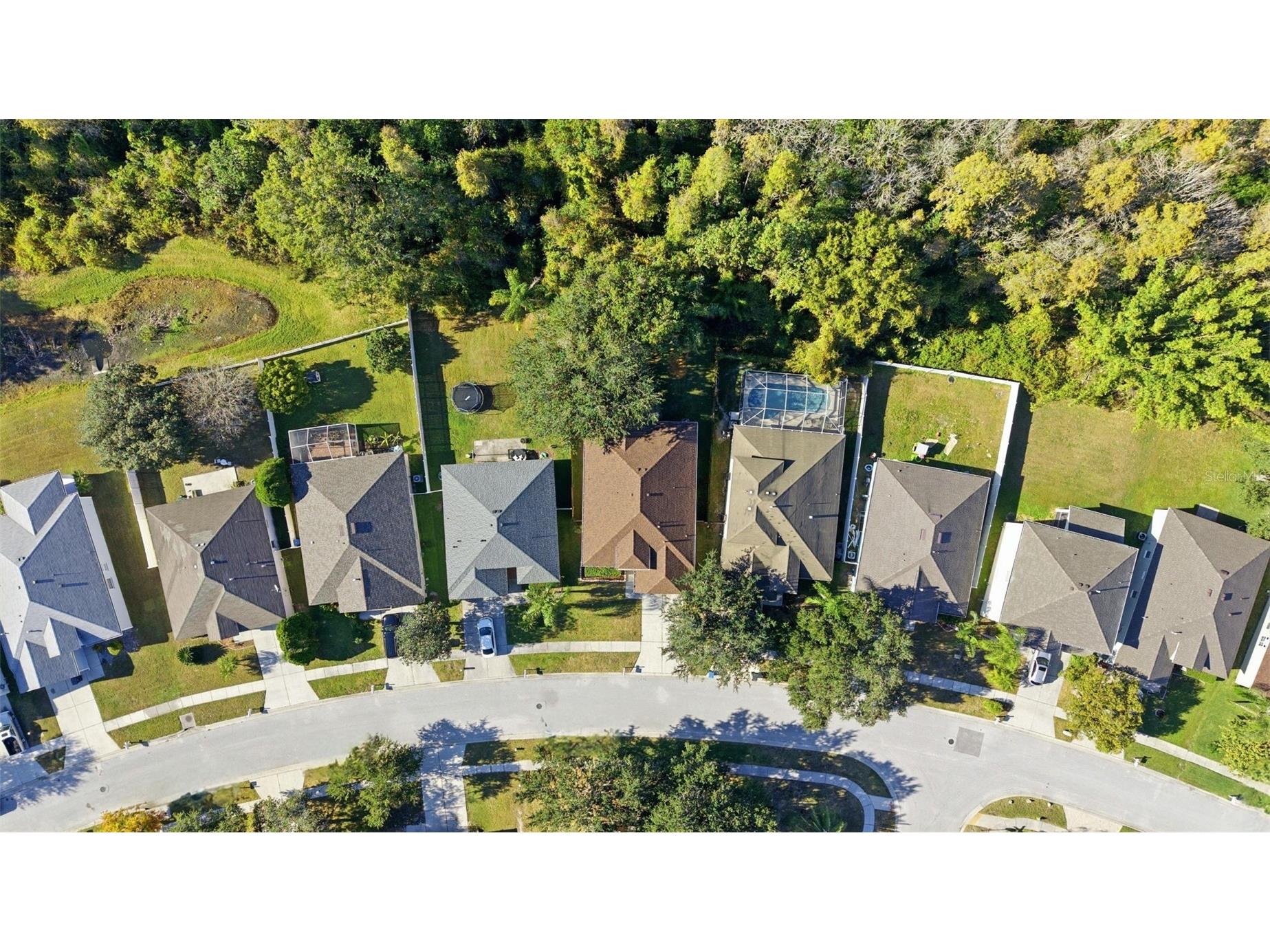 10232 Grant Creek Drive Tampa FL 33647 TB8444362 image41