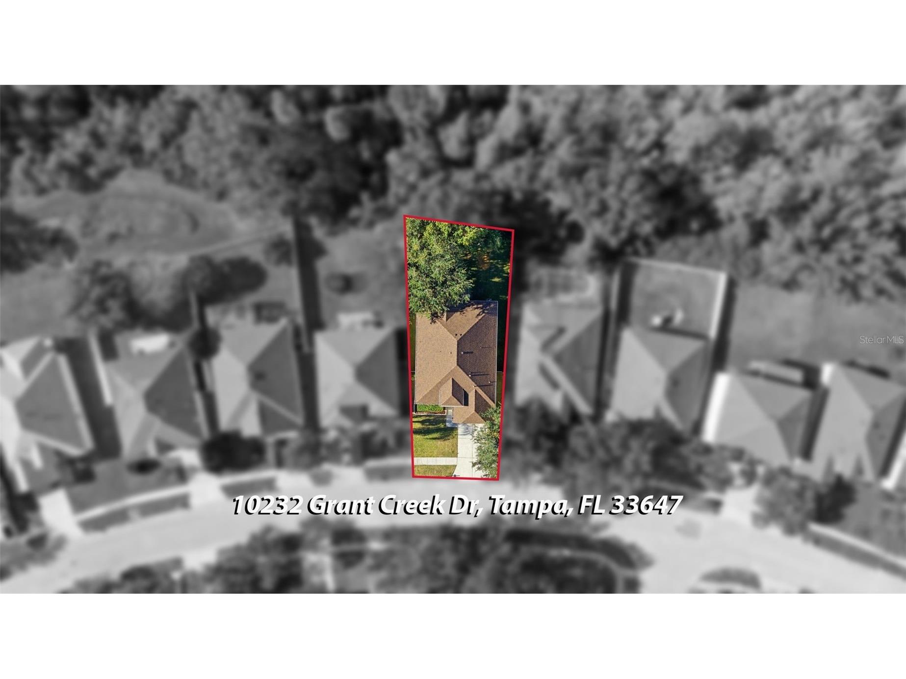 10232 Grant Creek Drive Tampa FL 33647 TB8444362 image42