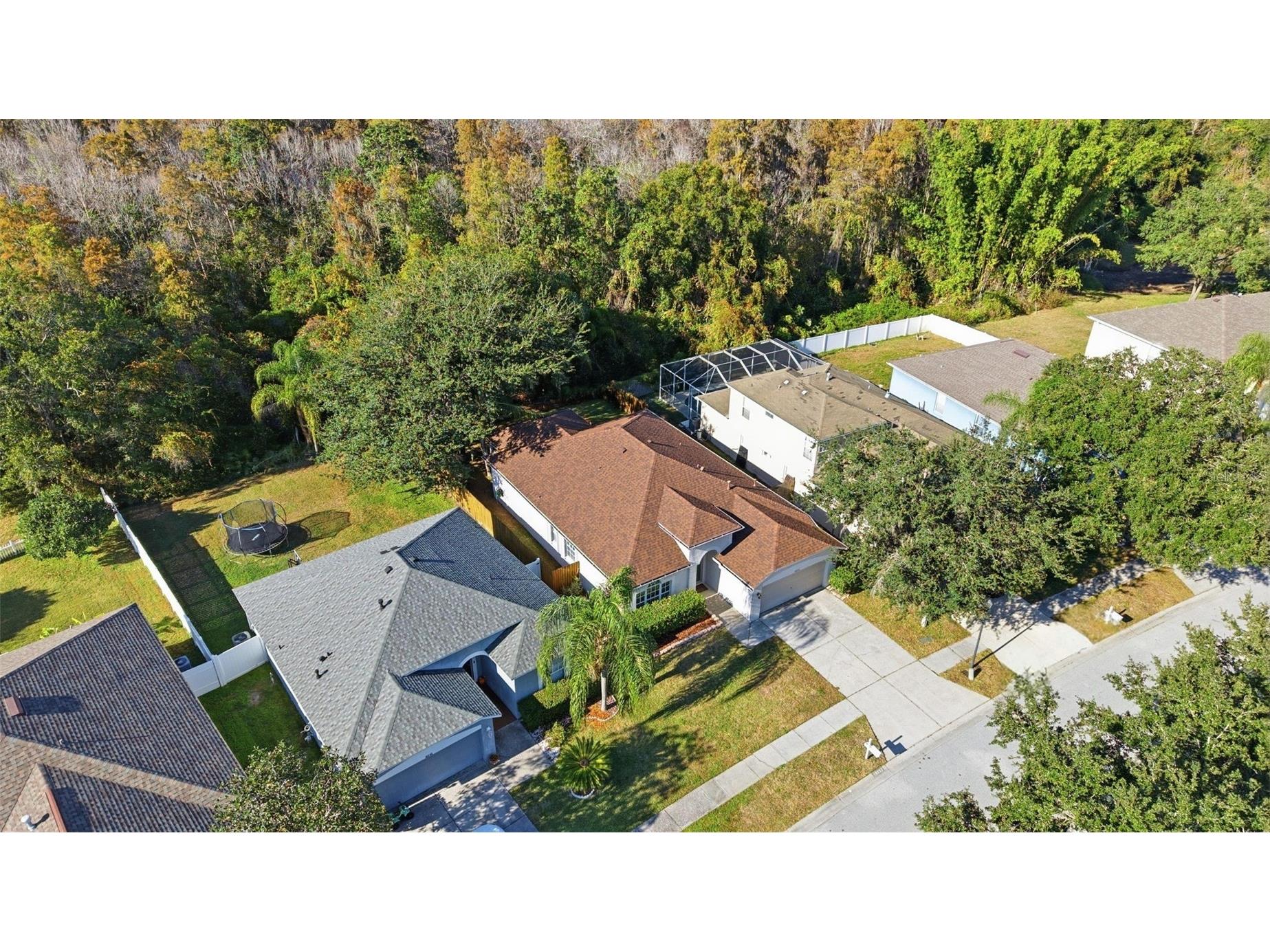 10232 Grant Creek Drive Tampa FL 33647 TB8444362 image43