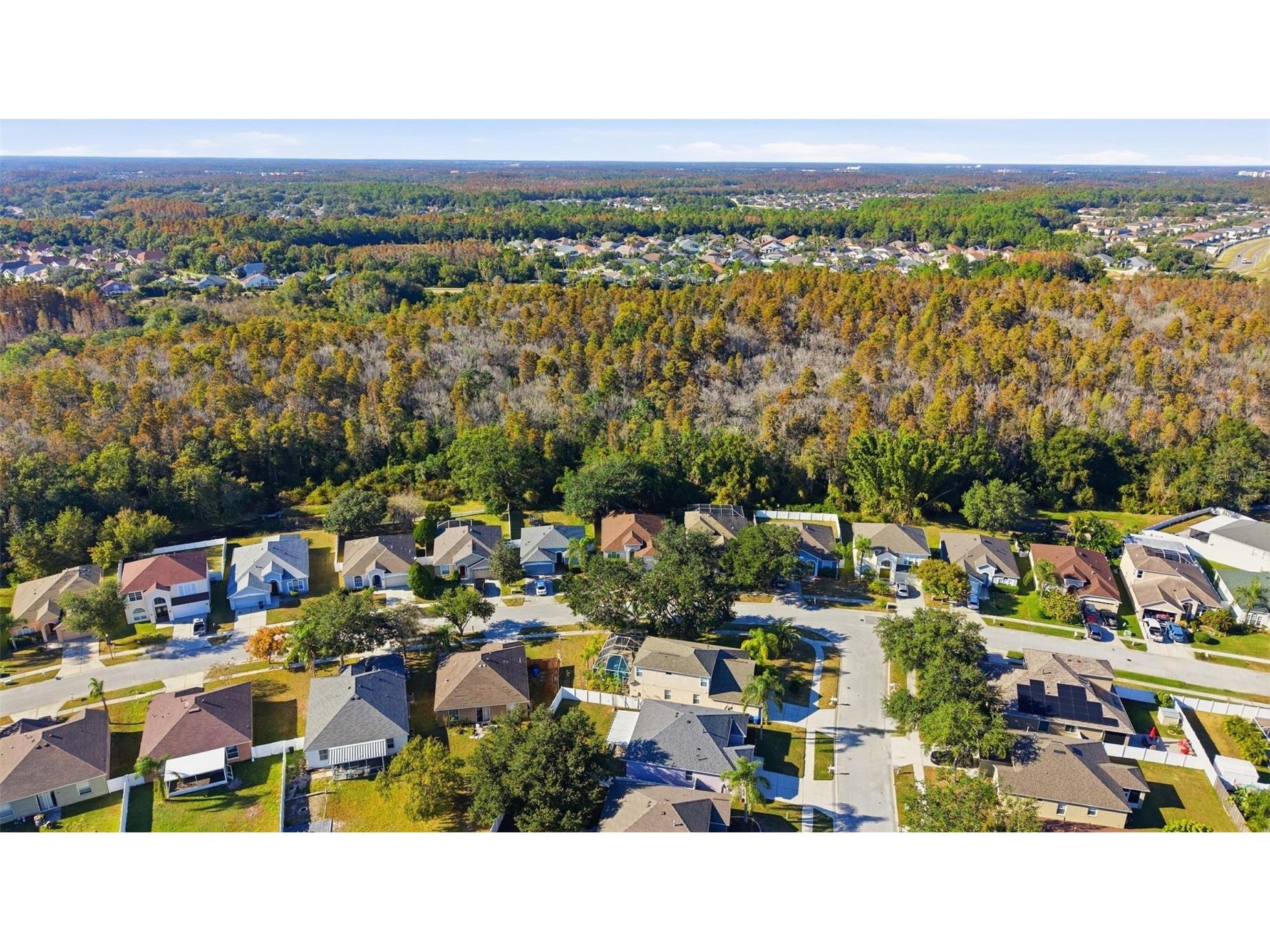 10232 Grant Creek Drive Tampa FL 33647 TB8444362 image45