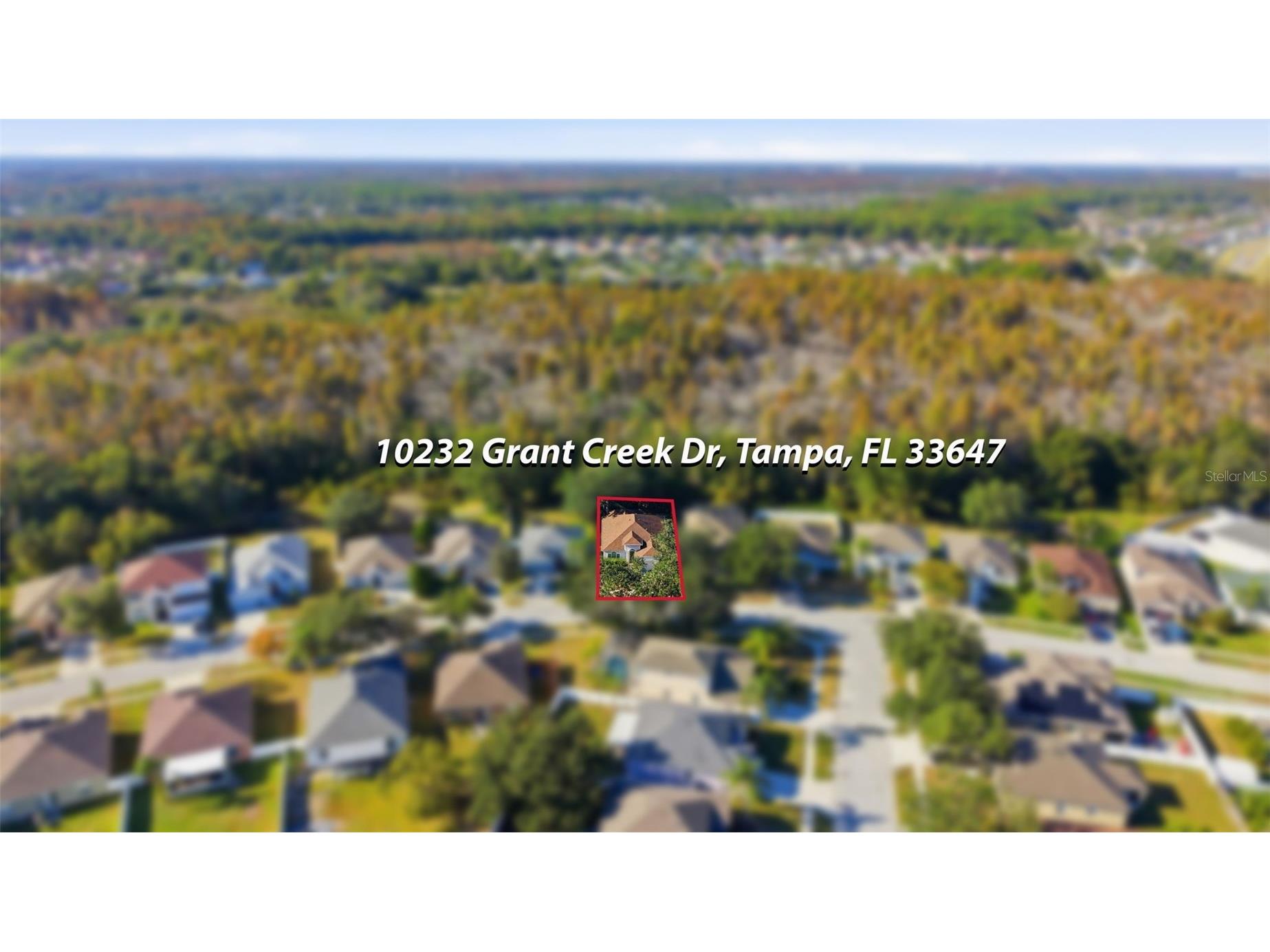 10232 Grant Creek Drive Tampa FL 33647 TB8444362 image46