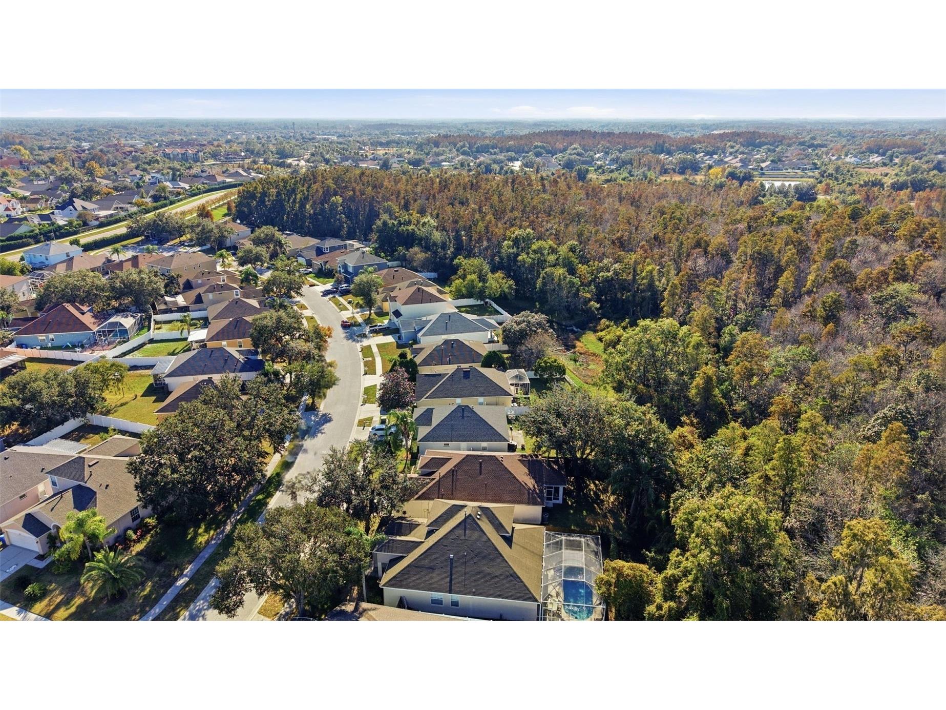 10232 Grant Creek Drive Tampa FL 33647 TB8444362 image47