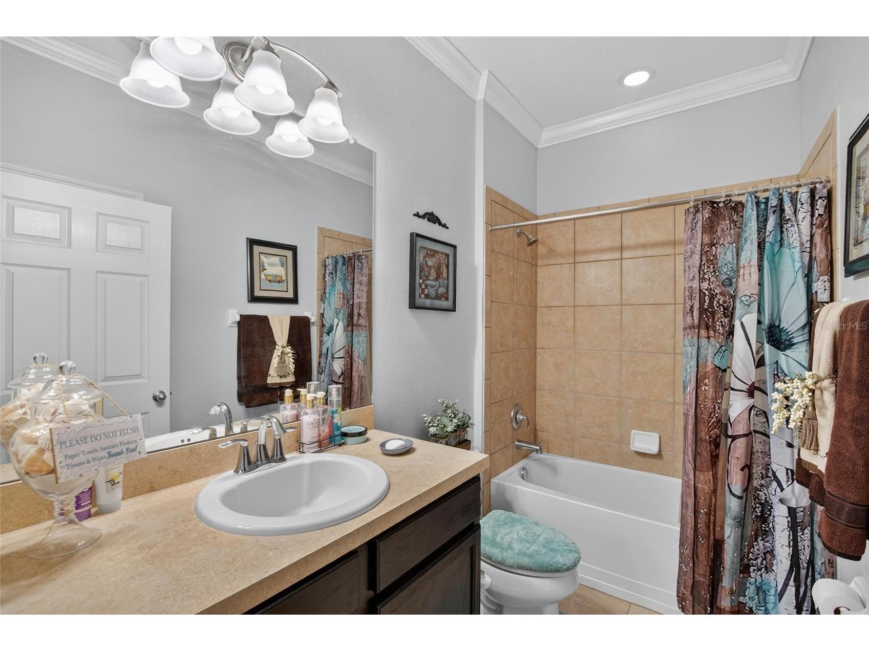 10232 Holland Road Riverview FL 33578 TB8506715 image37
