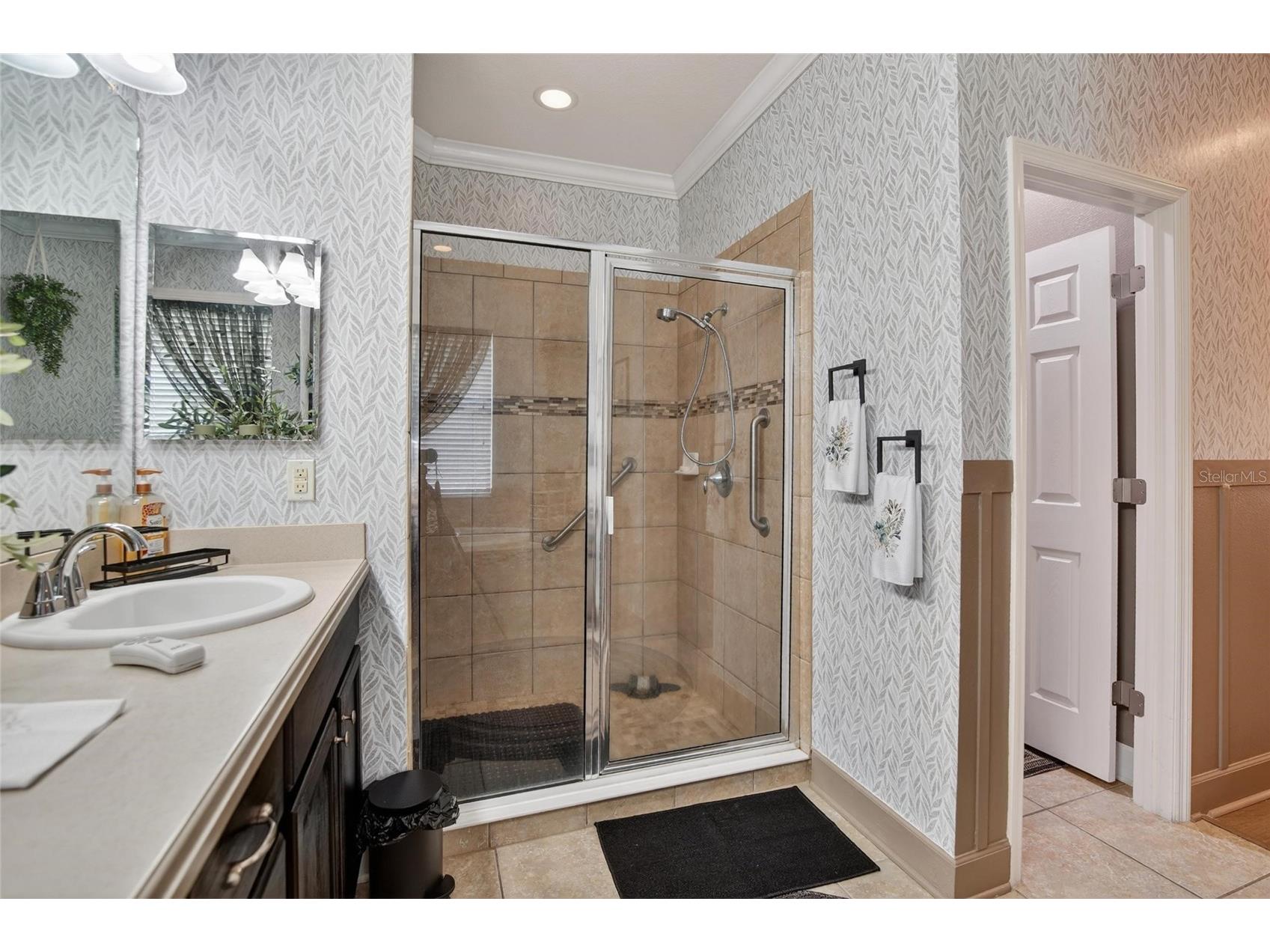 10232 Holland Road Riverview FL 33578 TB8506715 image47
