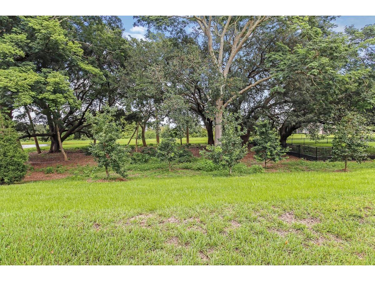 10232 Newel Valley Loop Riverview FL 33569 TB8526676 image29