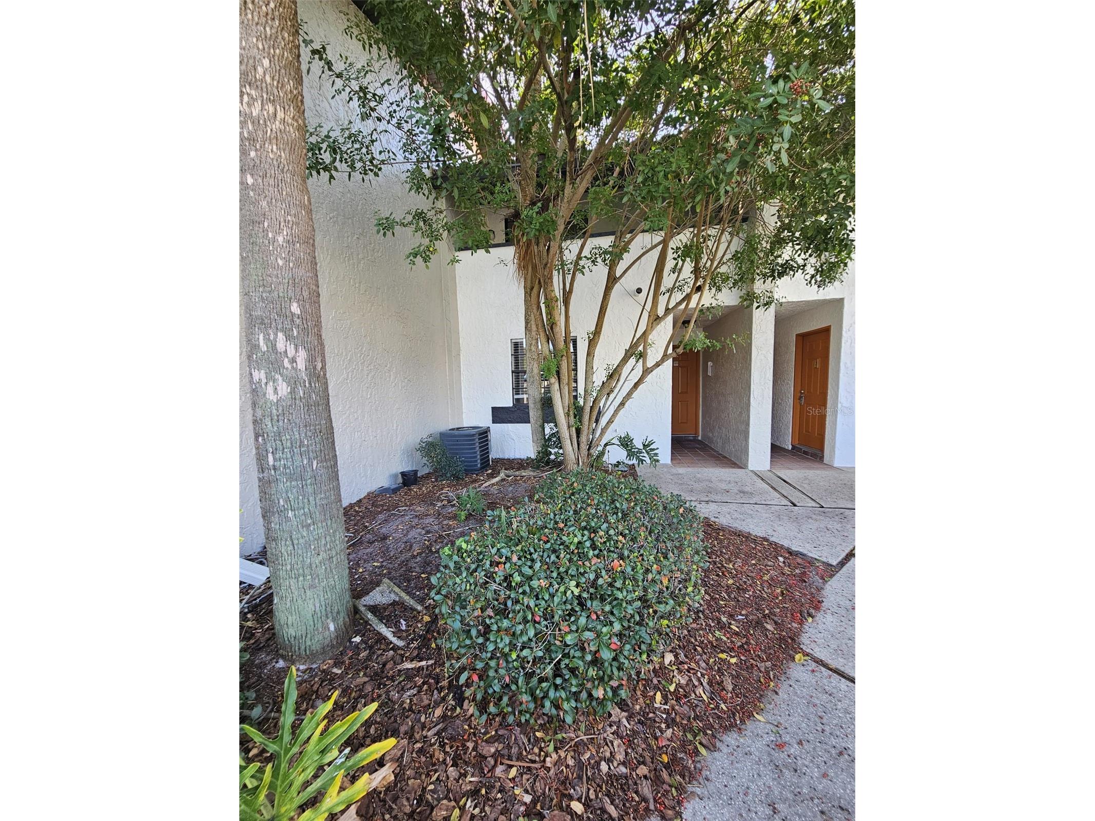 10232 Turkey Lake Road #180 Orlando FL 32819 S5146136 image13