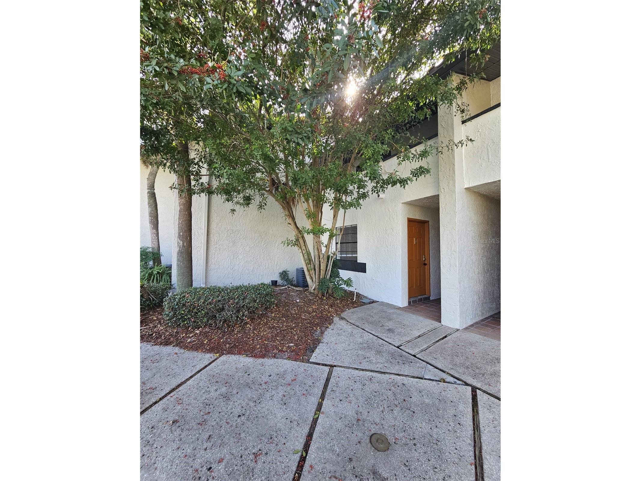 10232 Turkey Lake Road #180 Orlando FL 32819 S5146136 image14