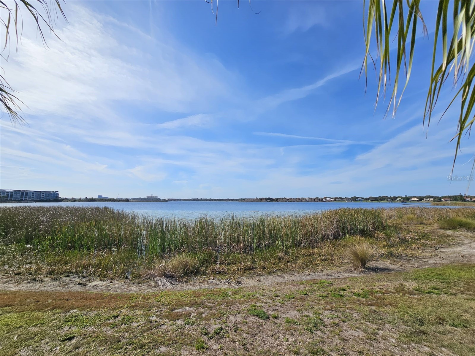 10232 Turkey Lake Road #180 Orlando FL 32819 S5146136 image5