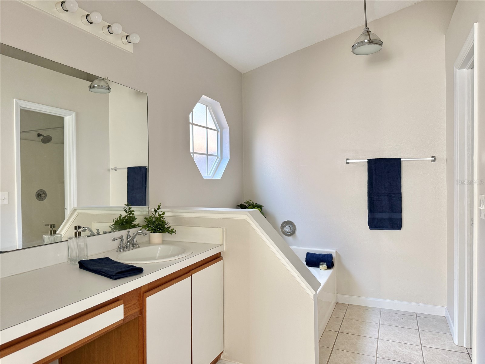 10233 Allenwood Drive Riverview FL 33569 TB8477137 image18