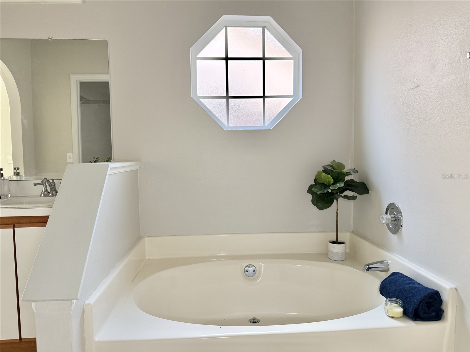 10233 Allenwood Drive Riverview FL 33569 TB8477137 image19