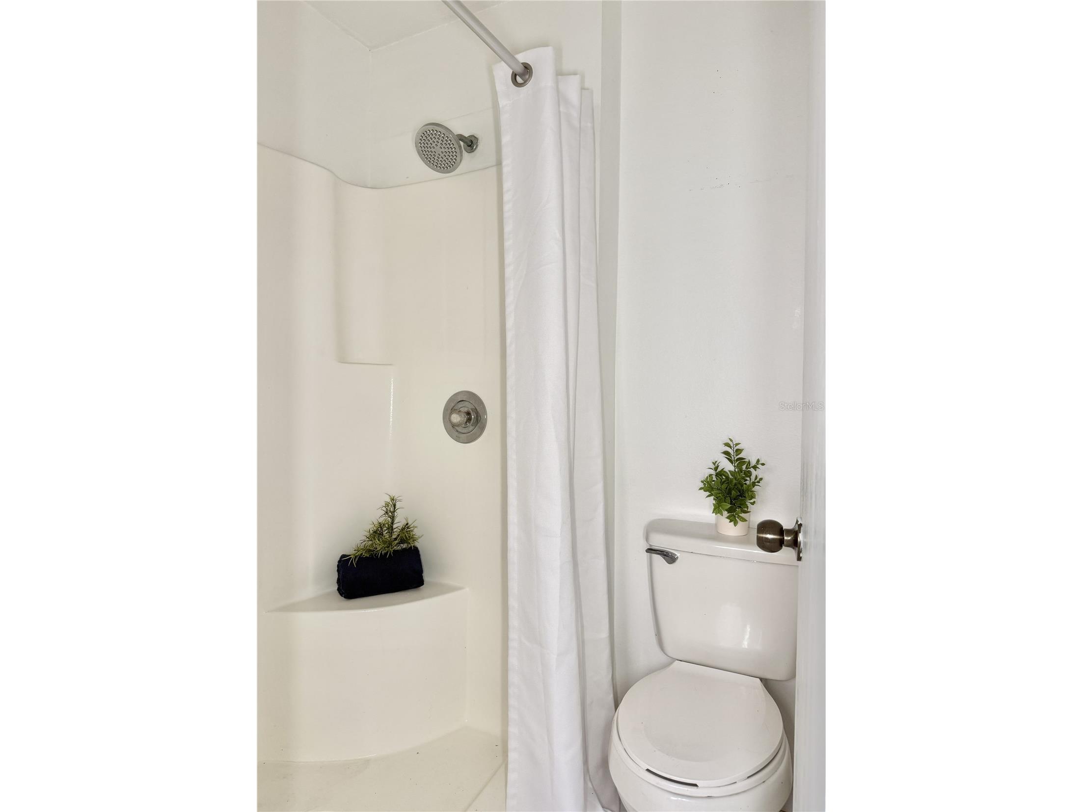 10233 Allenwood Drive Riverview FL 33569 TB8477137 image20