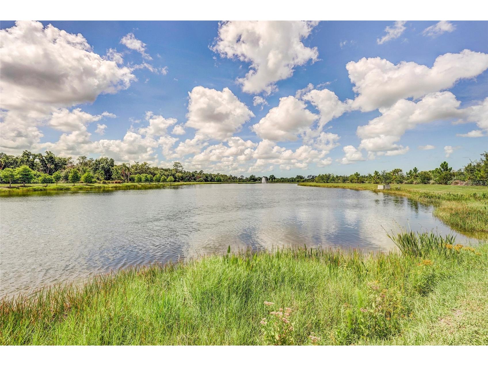 10233 Lake Wales Circle Sarasota FL 34241 A4693223 image80
