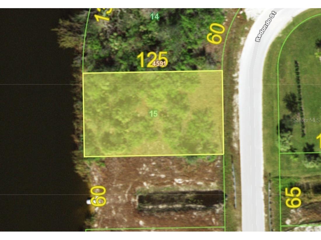 10233 Redondo Street Port Charlotte FL 33981 D6135208 image1