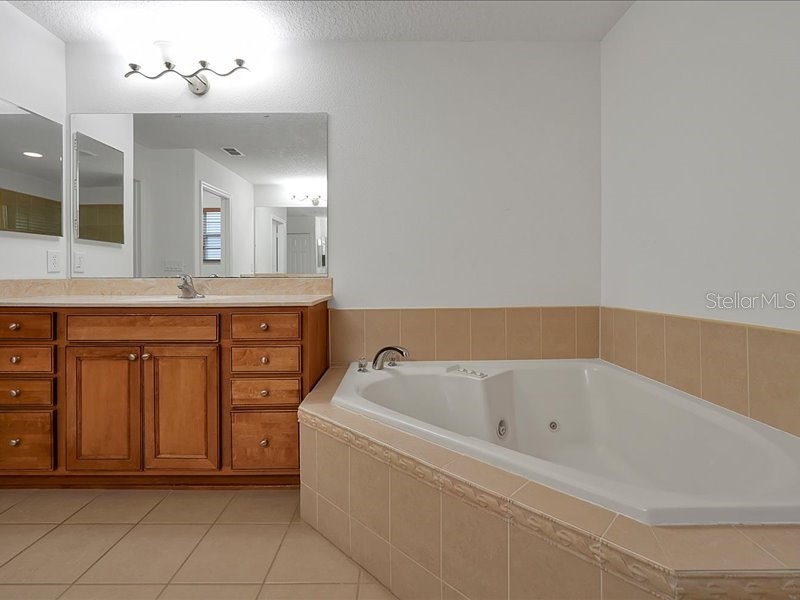 10233 Serotina Court Orlando FL 32832 S5149828 image16