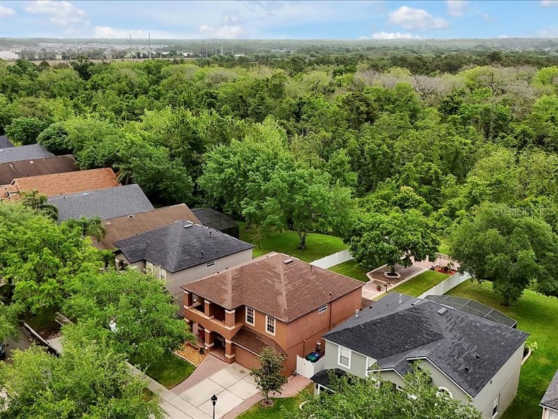 10233 Serotina Court Orlando FL 32832 S5149828 image28