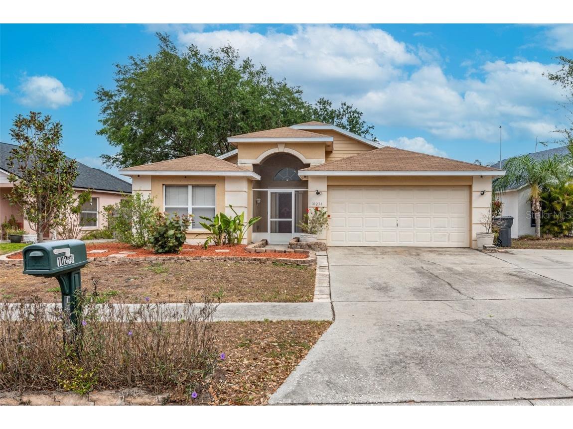 10234 Allenwood Drive Riverview FL 33569 T3439824 image1