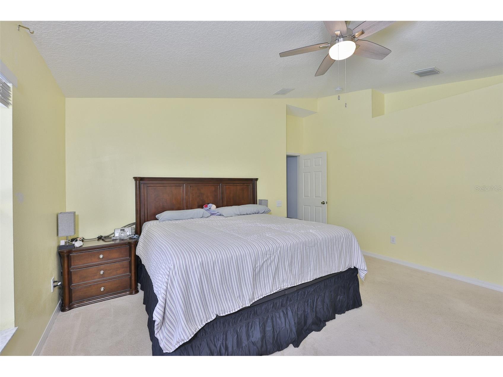 10234 Bloomfield Hills Drive Seffner FL 33584 TB8526232 image22