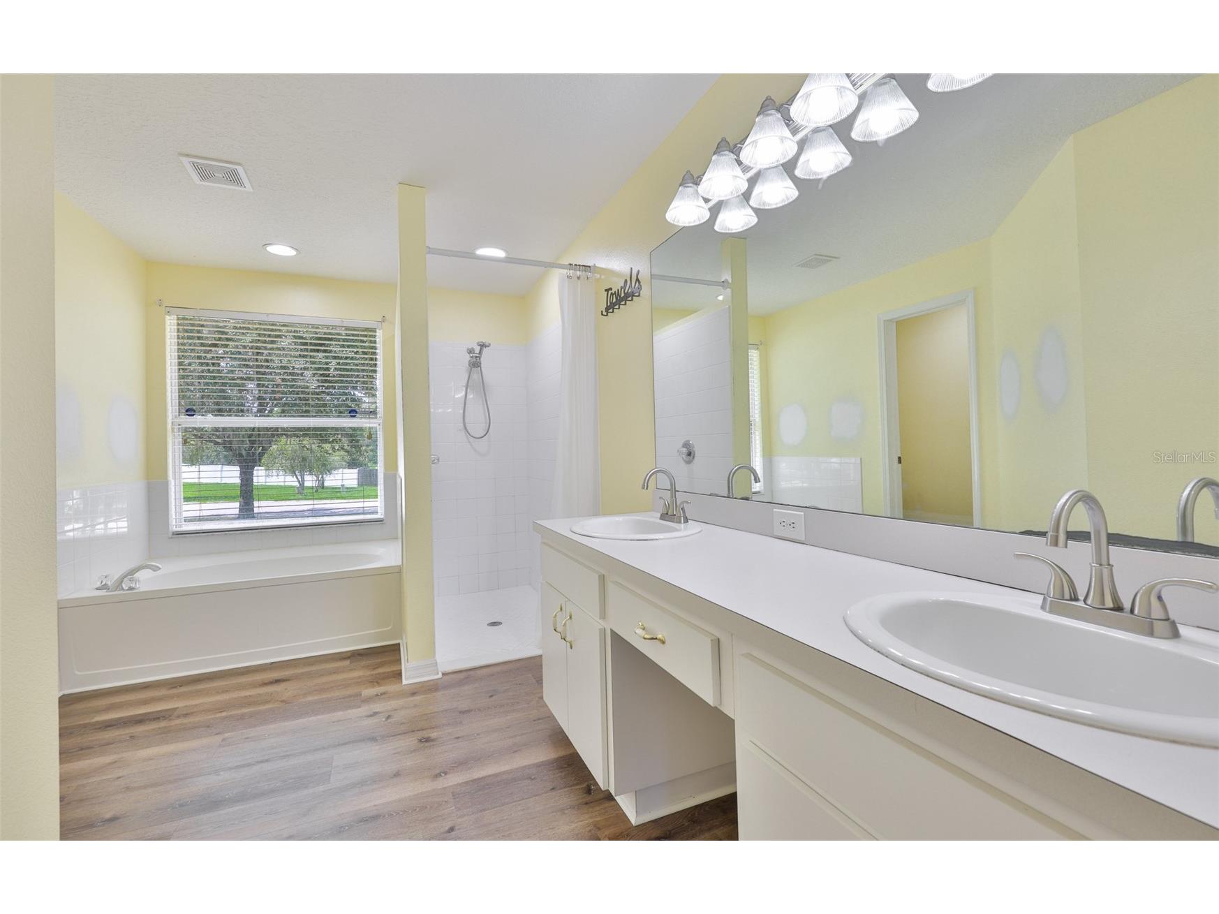 10234 Bloomfield Hills Drive Seffner FL 33584 TB8526232 image24
