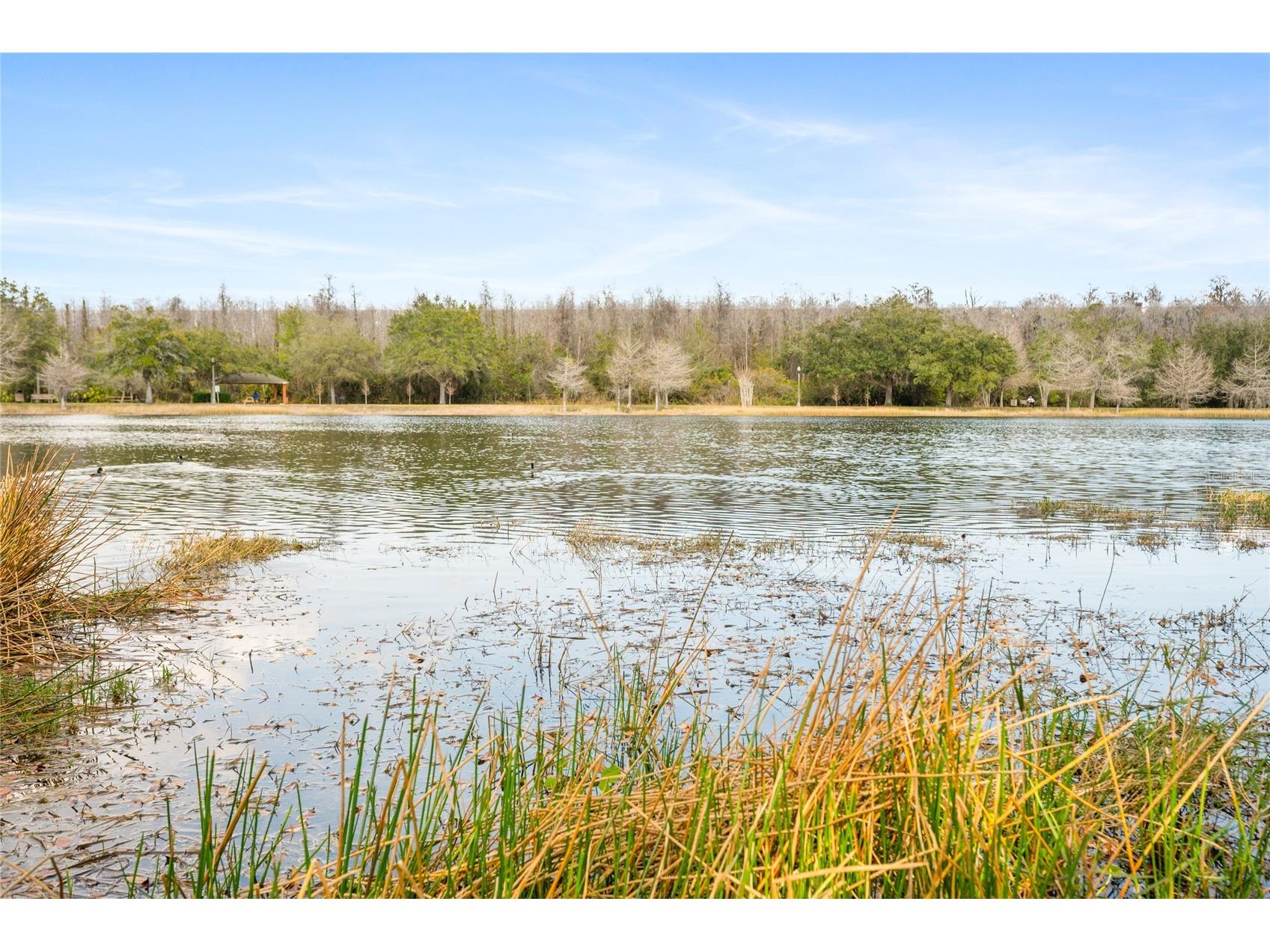 10235 Cala Lily Trail #35A Orlando FL 32832 O6384670 image28
