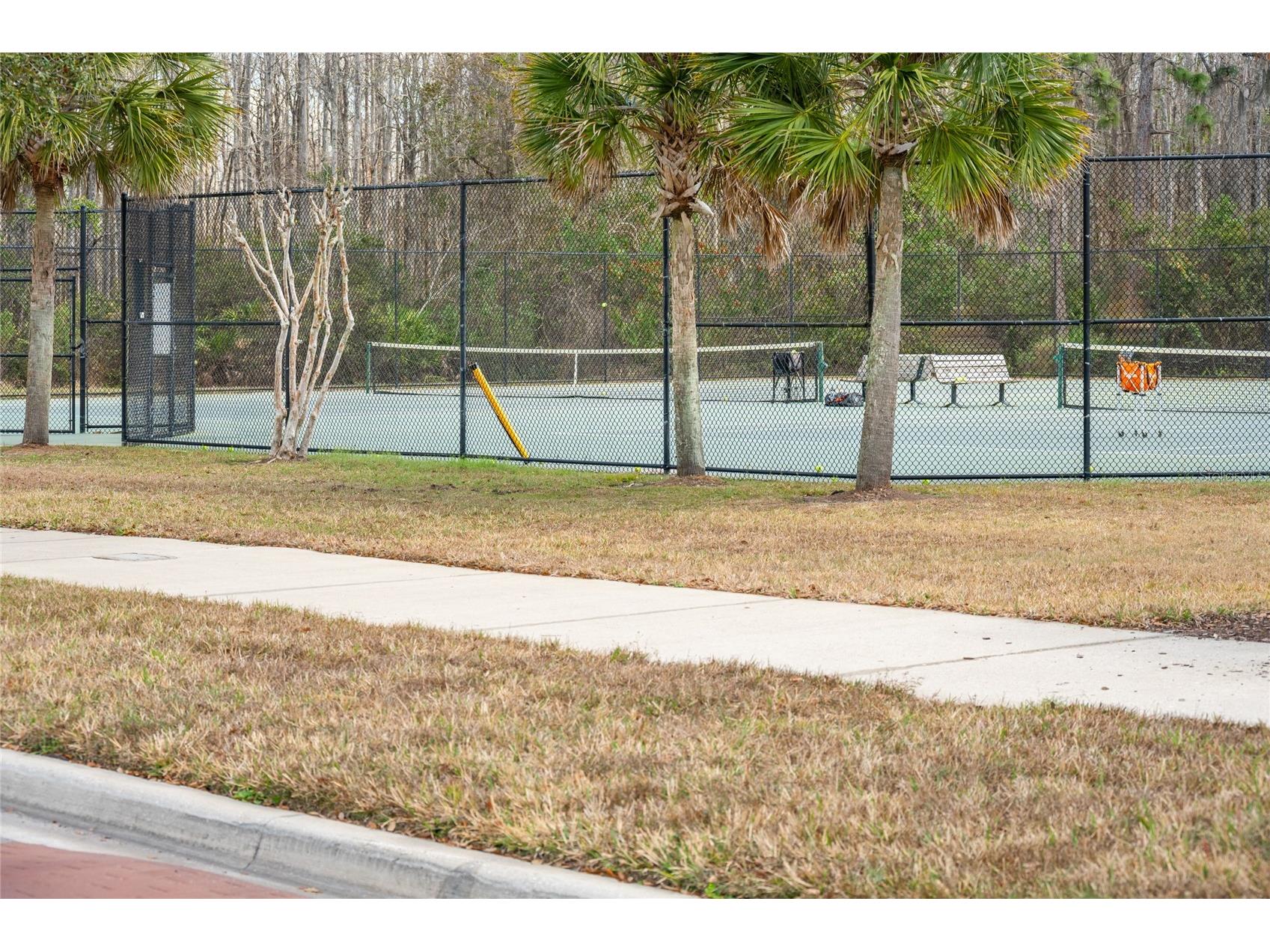 10235 Cala Lily Trail #35A Orlando FL 32832 O6384670 image29