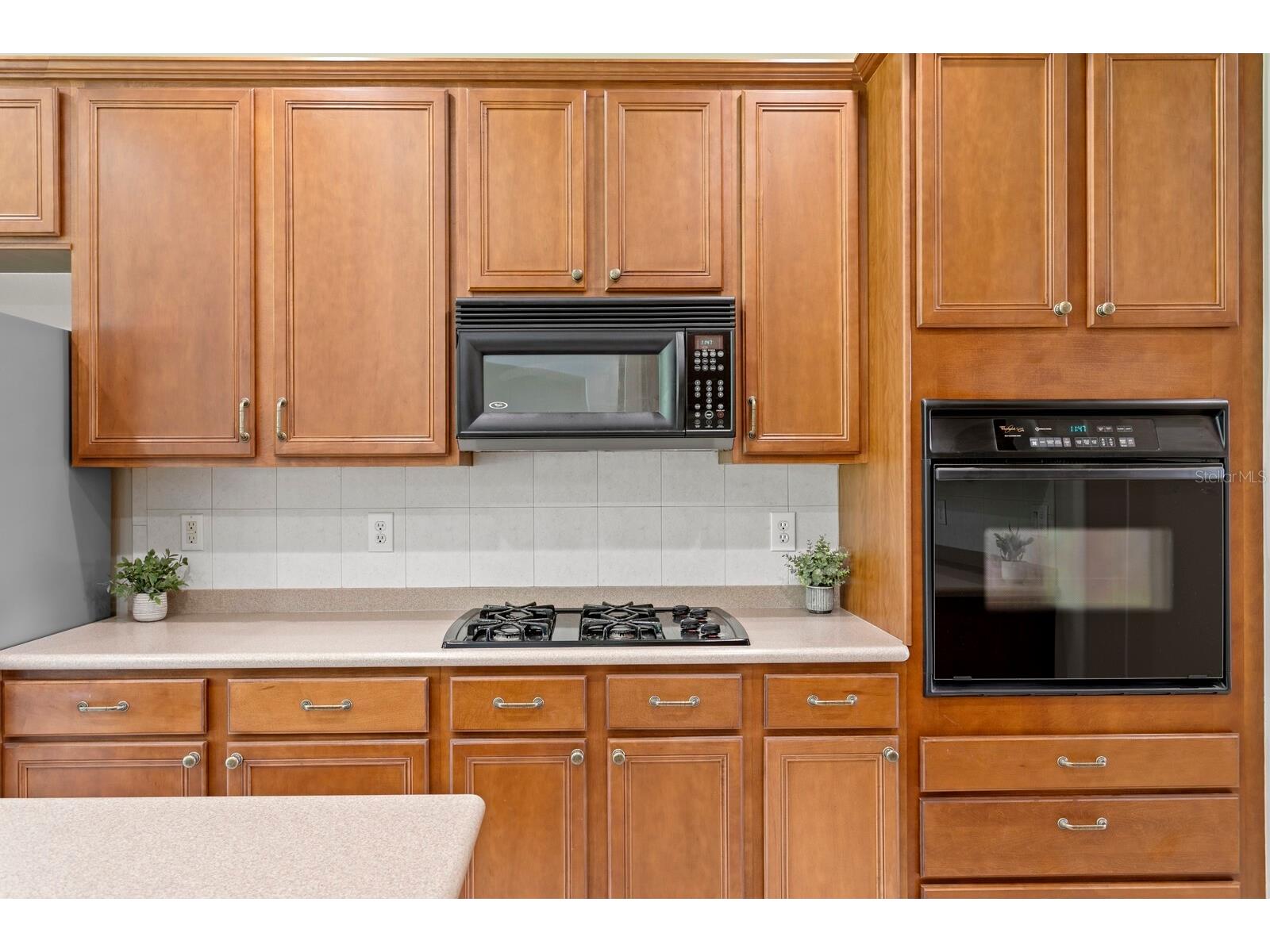 10235 Estuary Drive Tampa FL 33647 TB8505563 image20