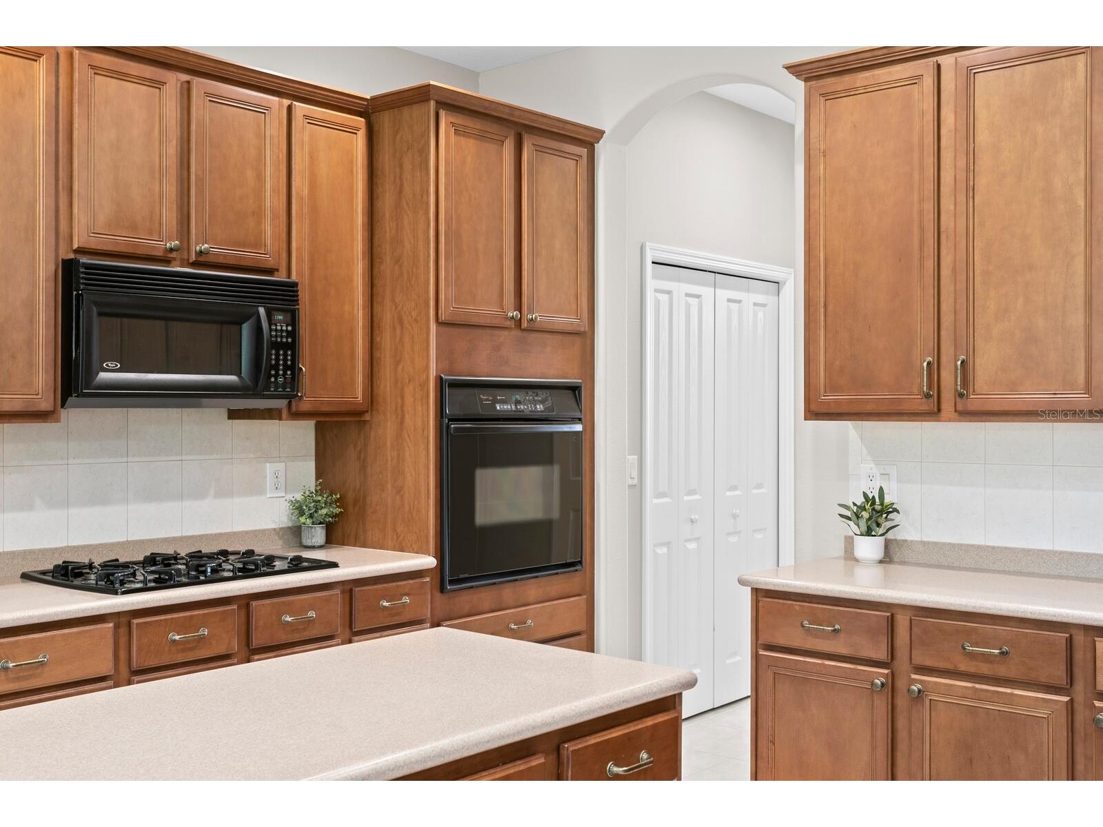 10235 Estuary Drive Tampa FL 33647 TB8505563 image21