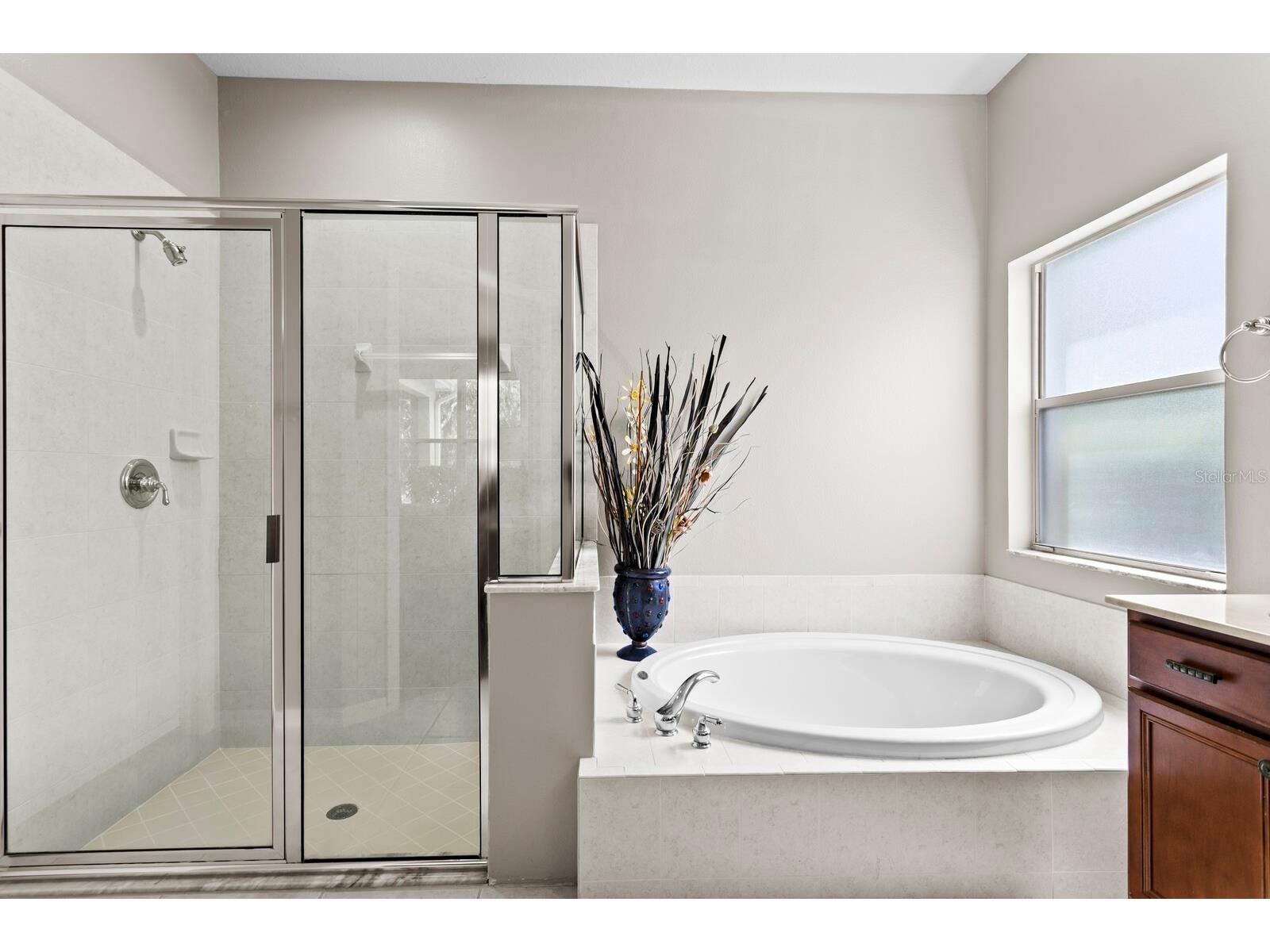 10235 Estuary Drive Tampa FL 33647 TB8505563 image27