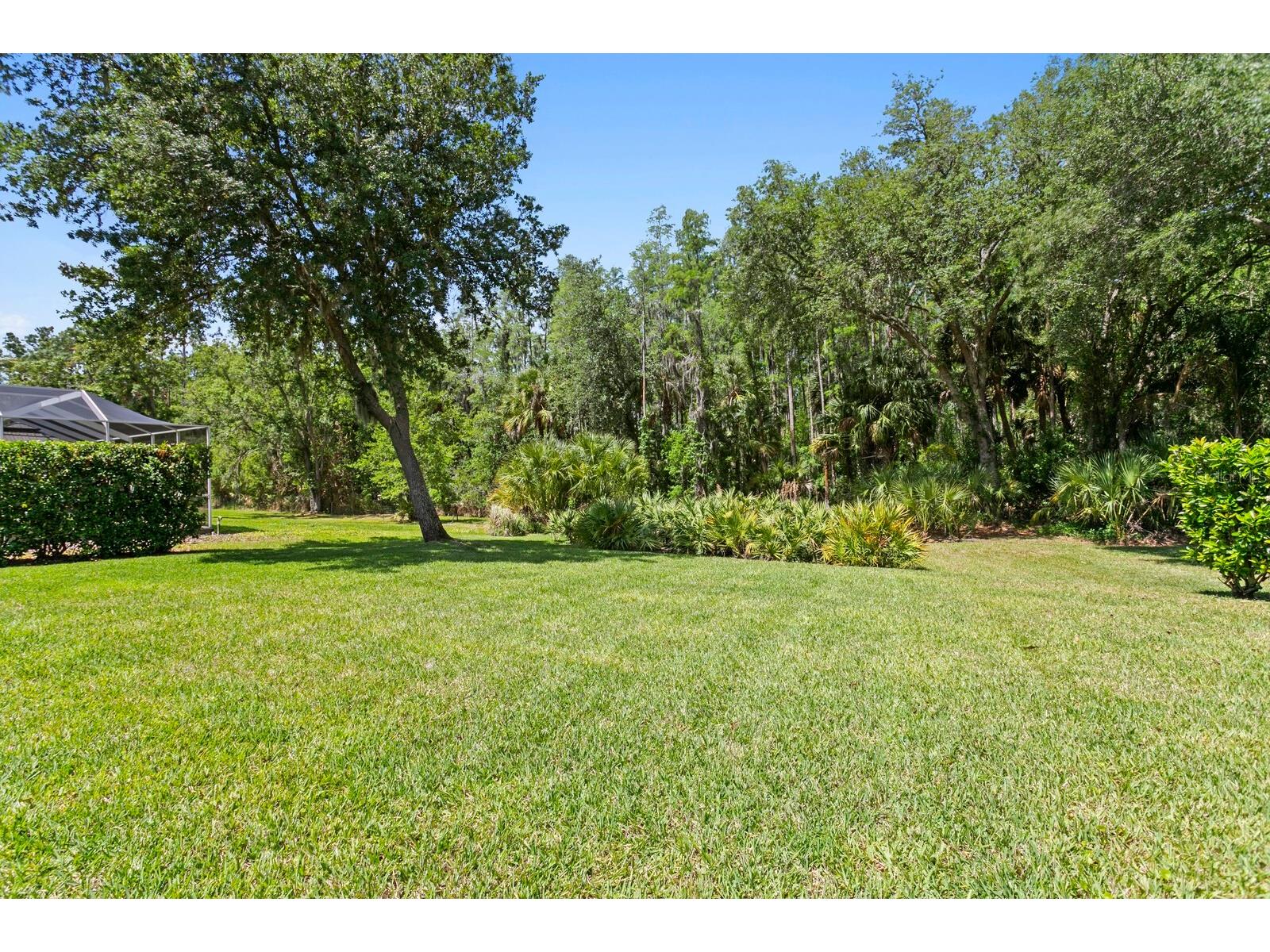 10235 Estuary Drive Tampa FL 33647 TB8505563 image45