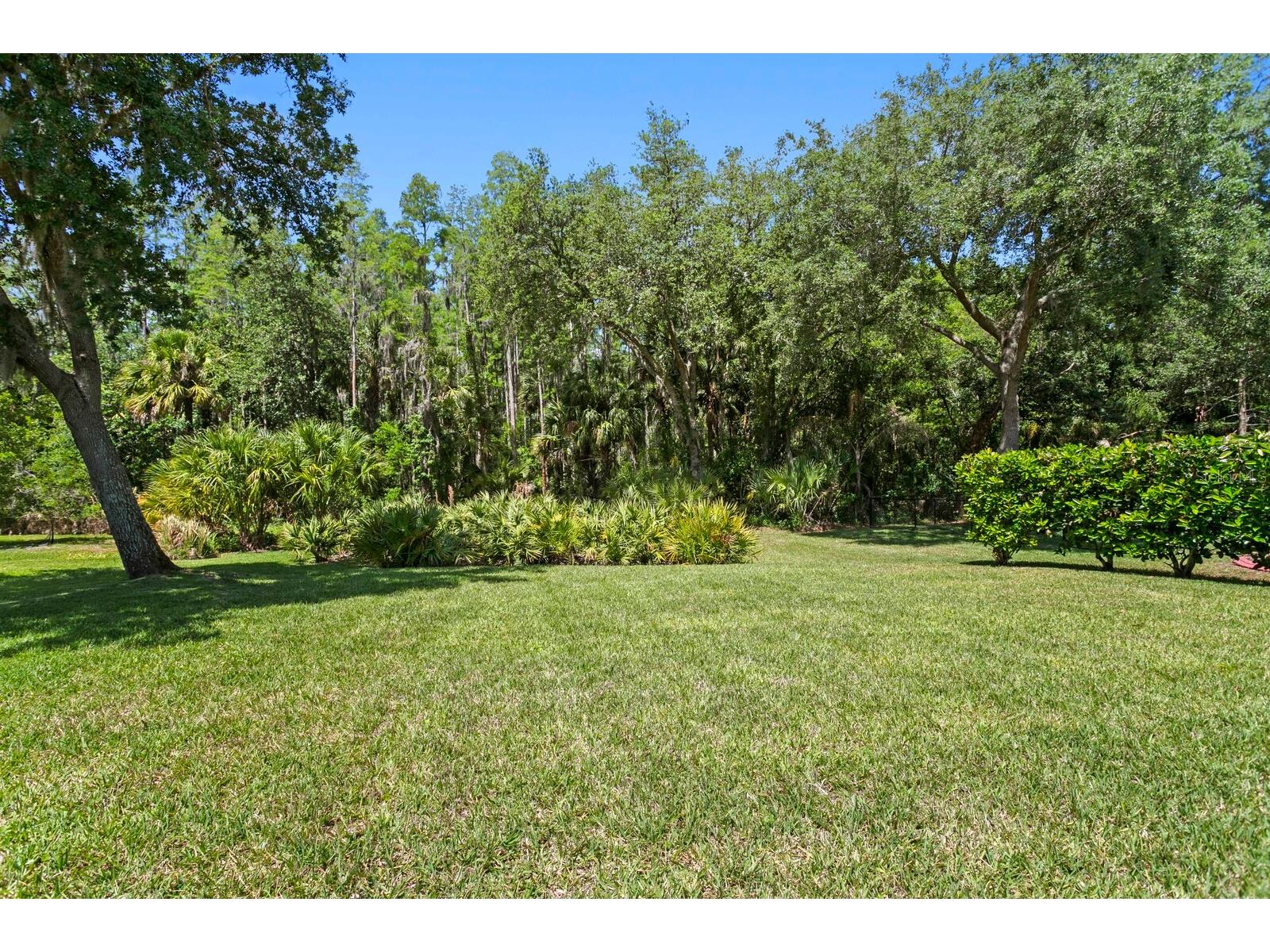 10235 Estuary Drive Tampa FL 33647 TB8505563 image46