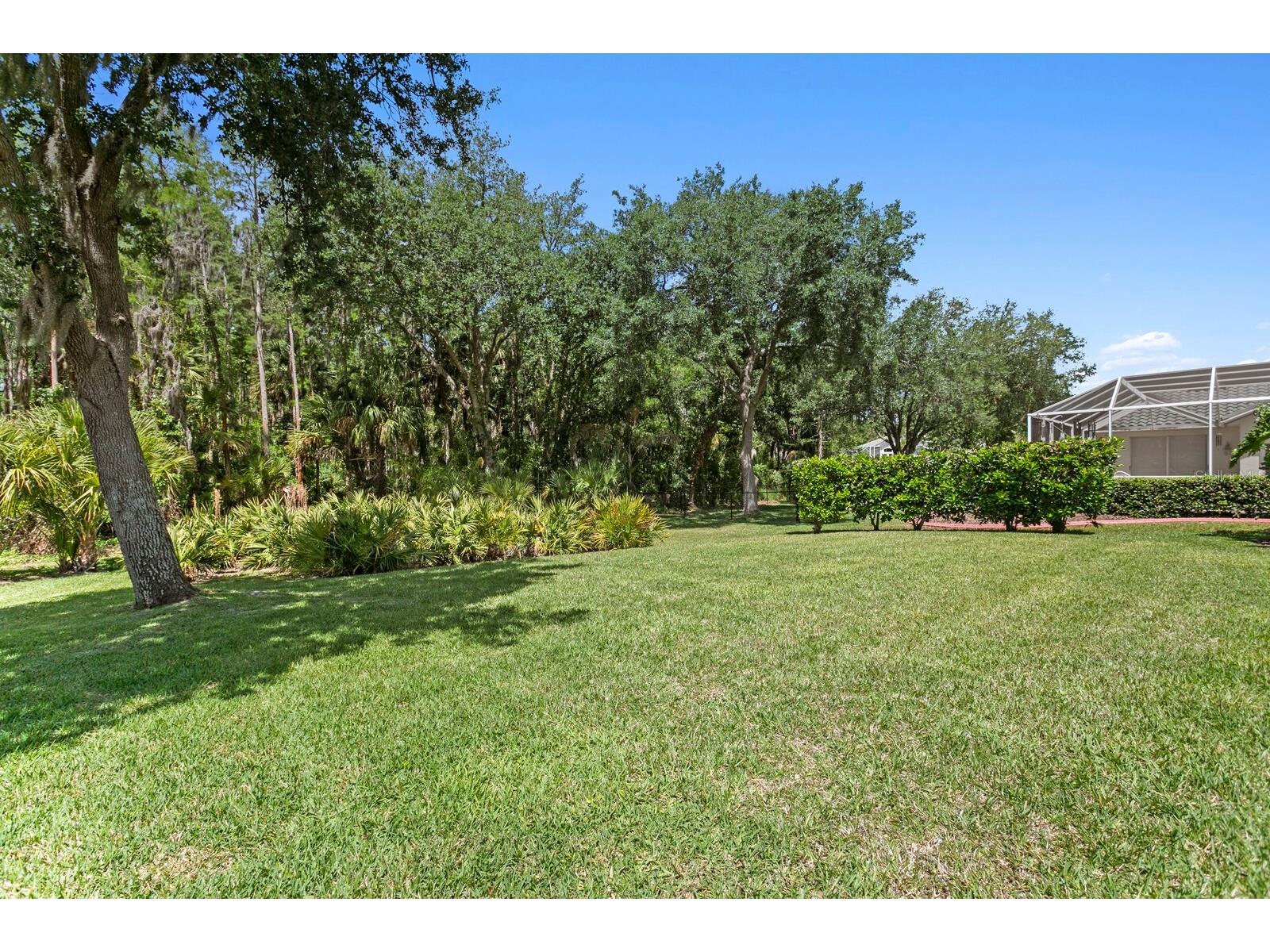 10235 Estuary Drive Tampa FL 33647 TB8505563 image47