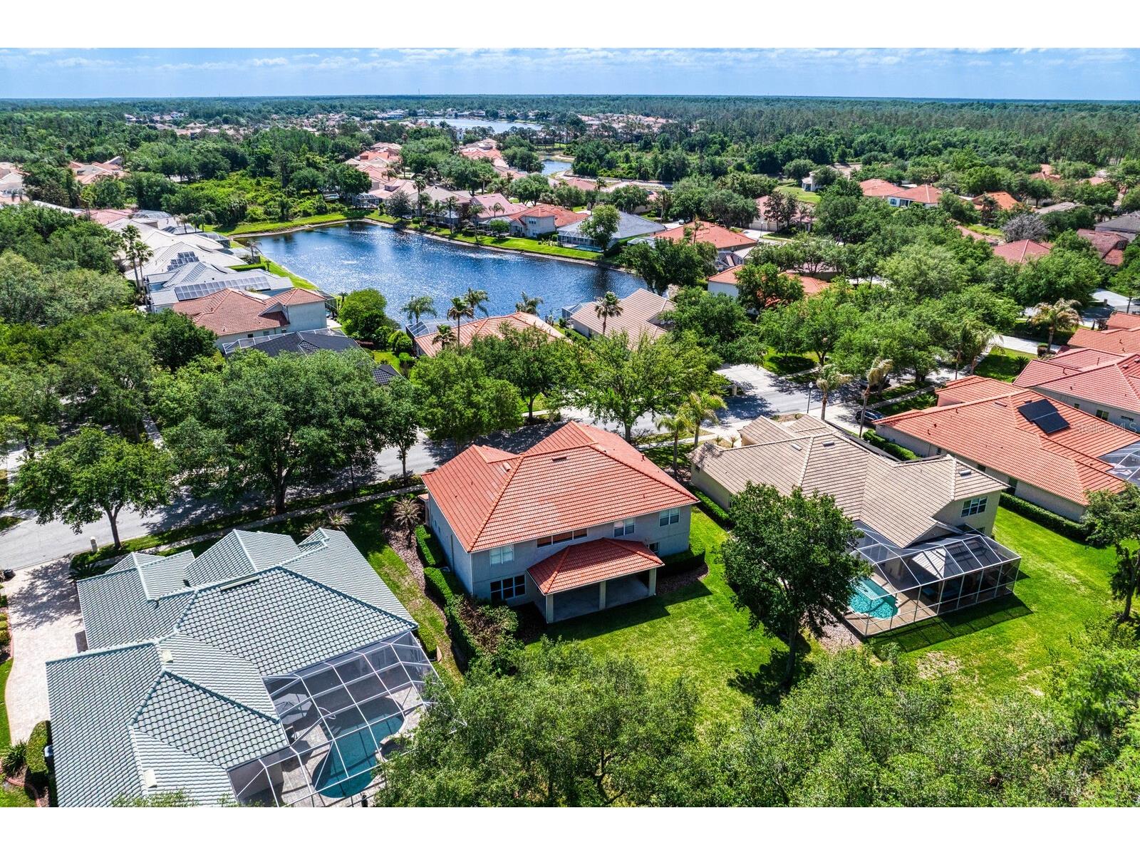 10235 Estuary Drive Tampa FL 33647 TB8505563 image51