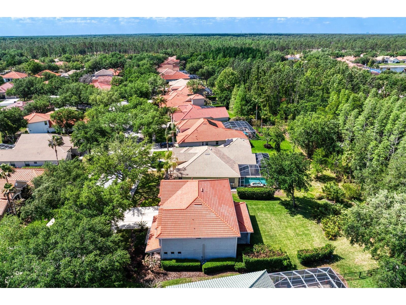 10235 Estuary Drive Tampa FL 33647 TB8505563 image52