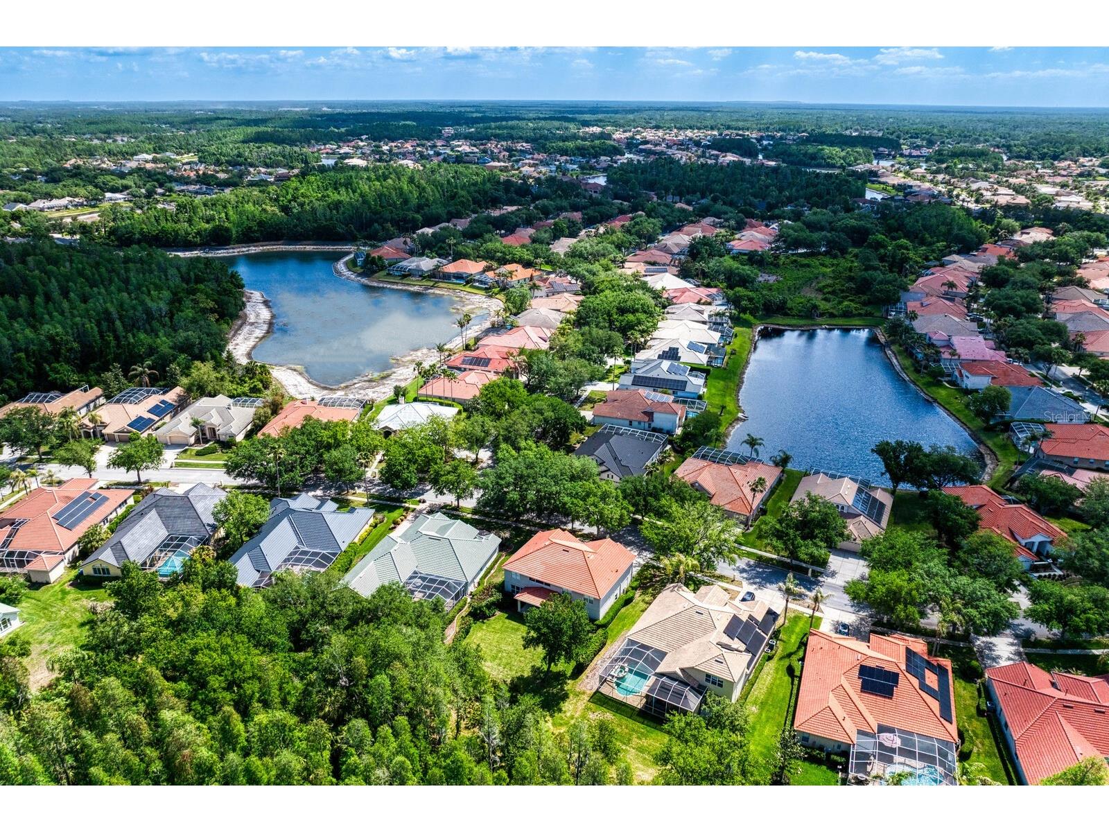 10235 Estuary Drive Tampa FL 33647 TB8505563 image56
