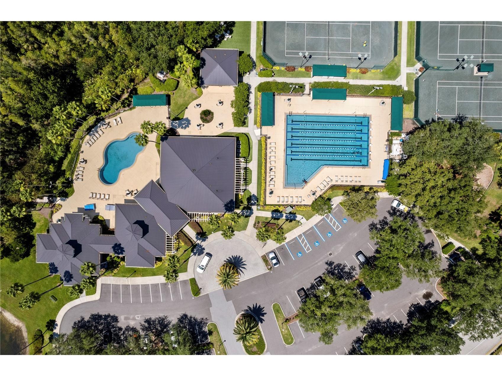 10235 Estuary Drive Tampa FL 33647 TB8505563 image59