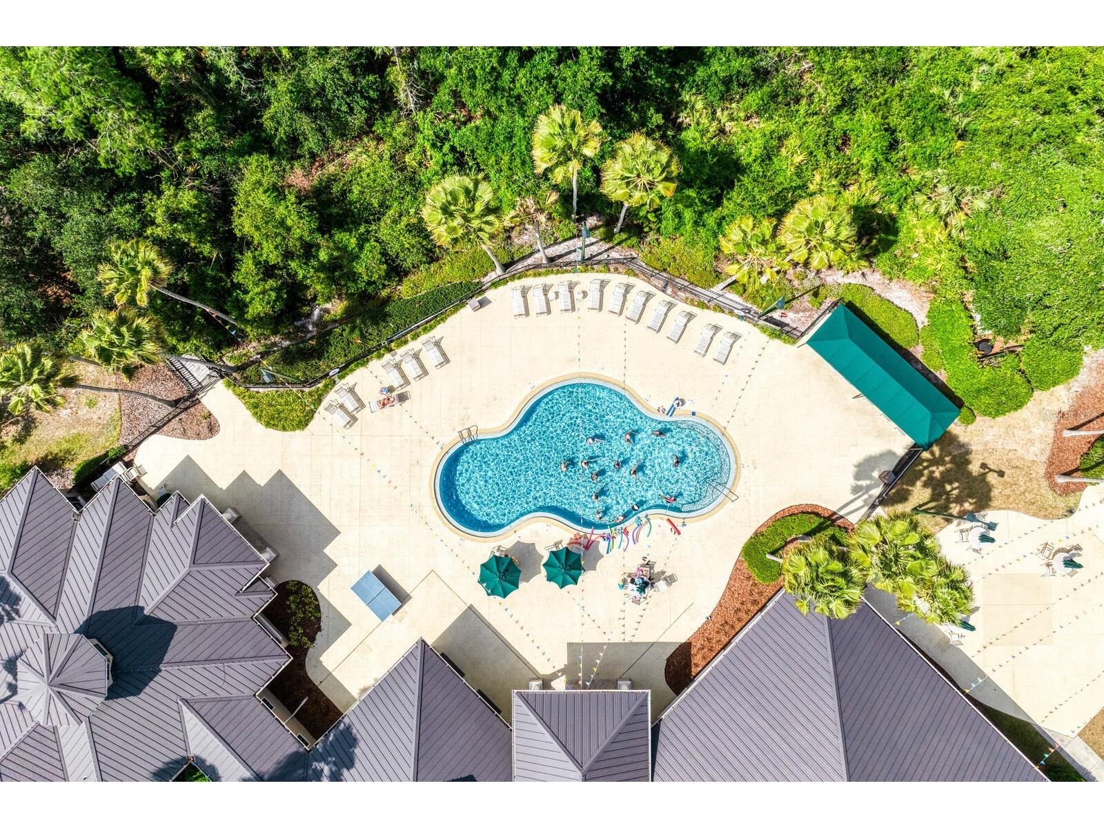 10235 Estuary Drive Tampa FL 33647 TB8505563 image65