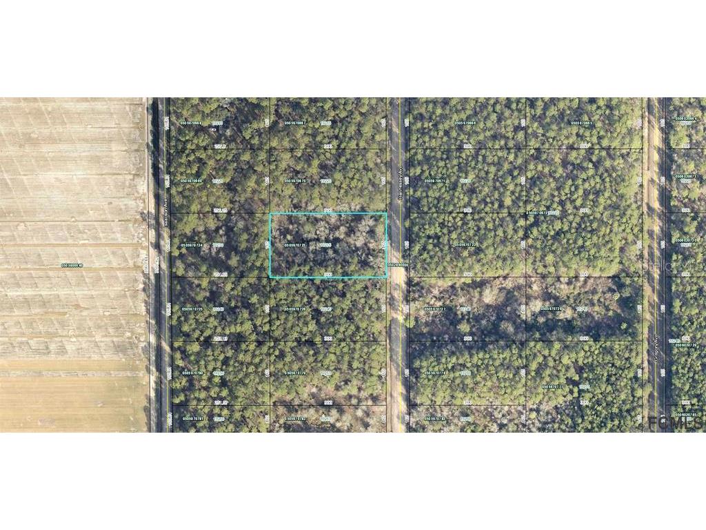 10235 Hennessey Avenue Hastings FL 32145 FC274605 image2