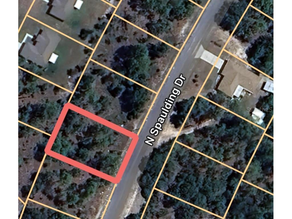 10235 N Spaulding Drive Citrus Springs FL 34433 OM711657 image1