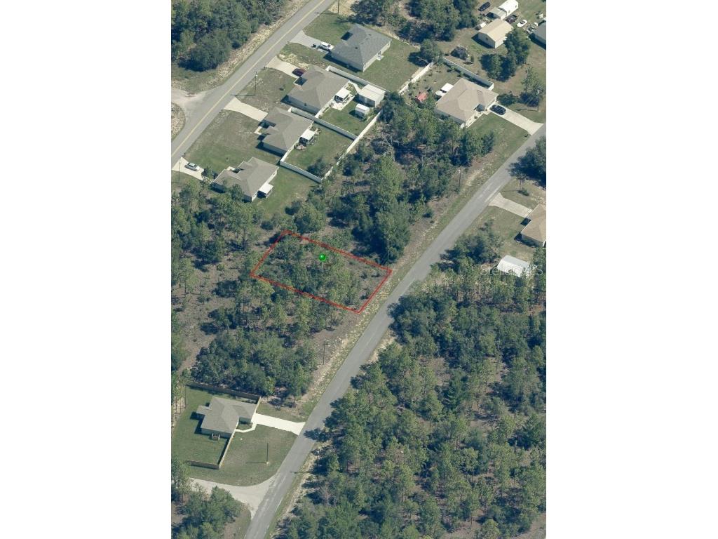 10235 N Spaulding Drive Citrus Springs FL 34433 OM711657 image2