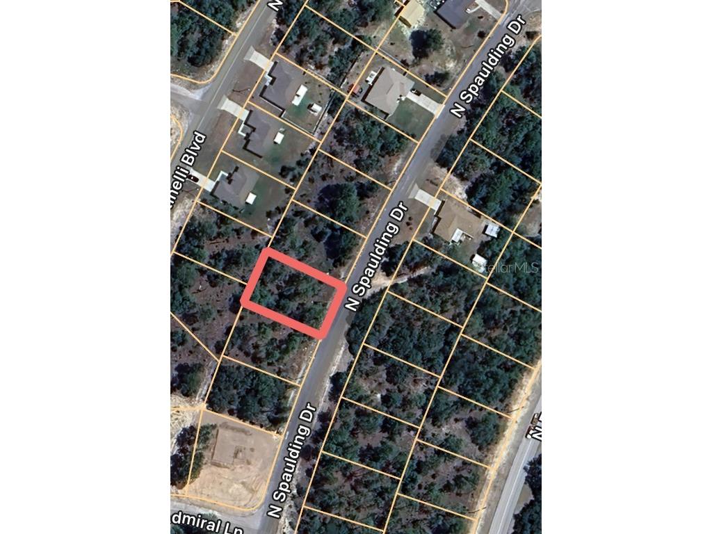 10235 N Spaulding Drive Citrus Springs FL 34433 OM711657 image3