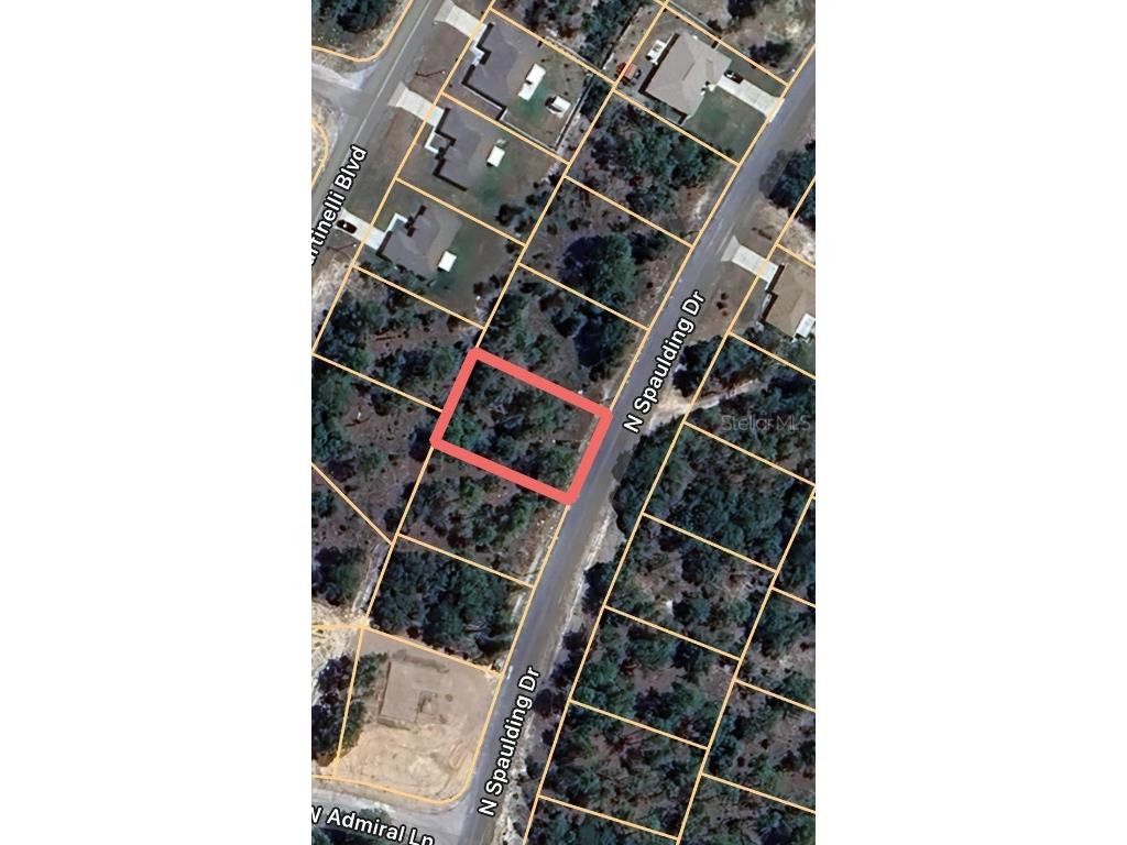 10235 N Spaulding Drive Citrus Springs FL 34433 OM711657 image5