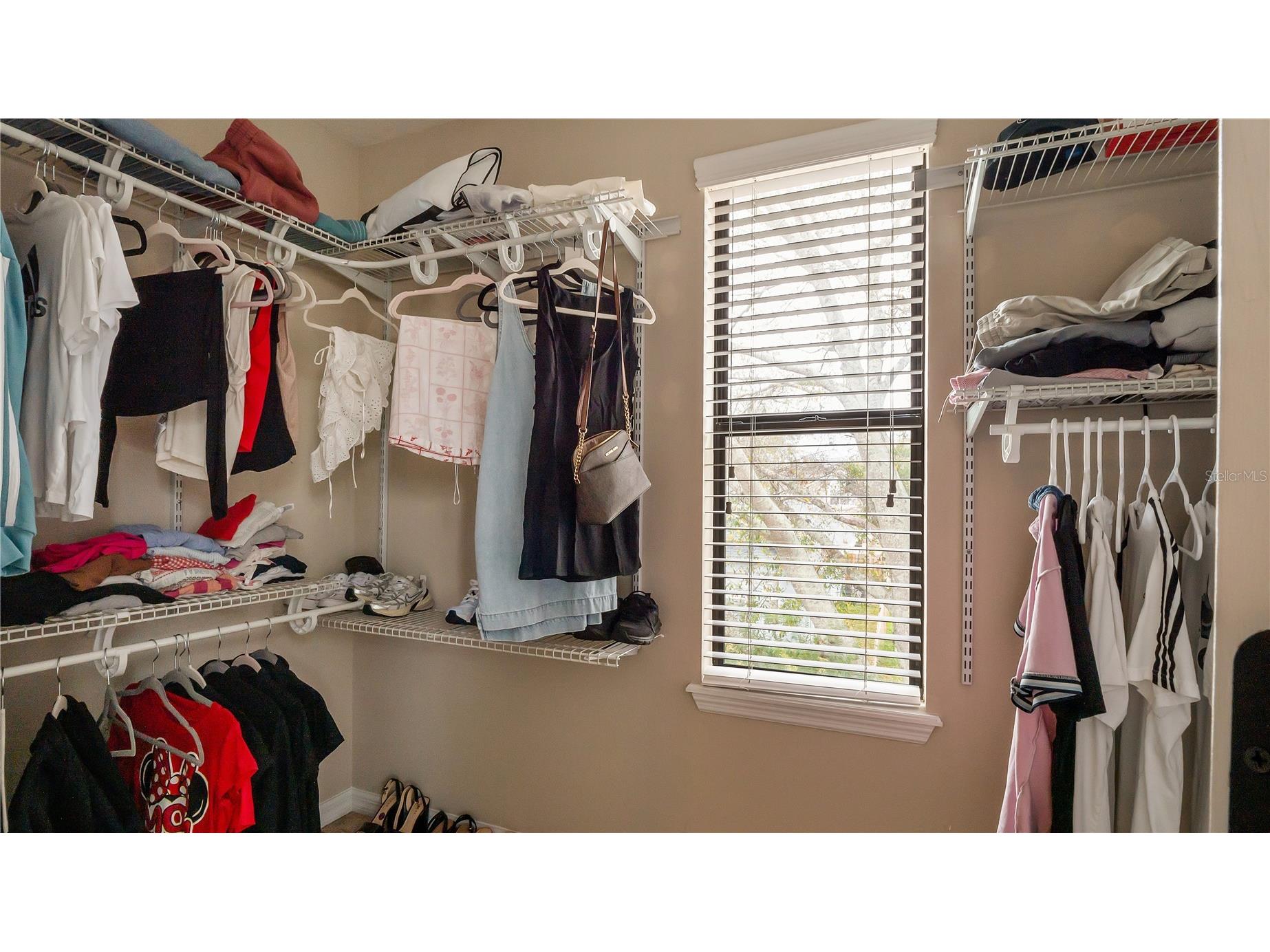 10235 Villa Palazzo Court Tampa FL 33615 TB8481501 image38