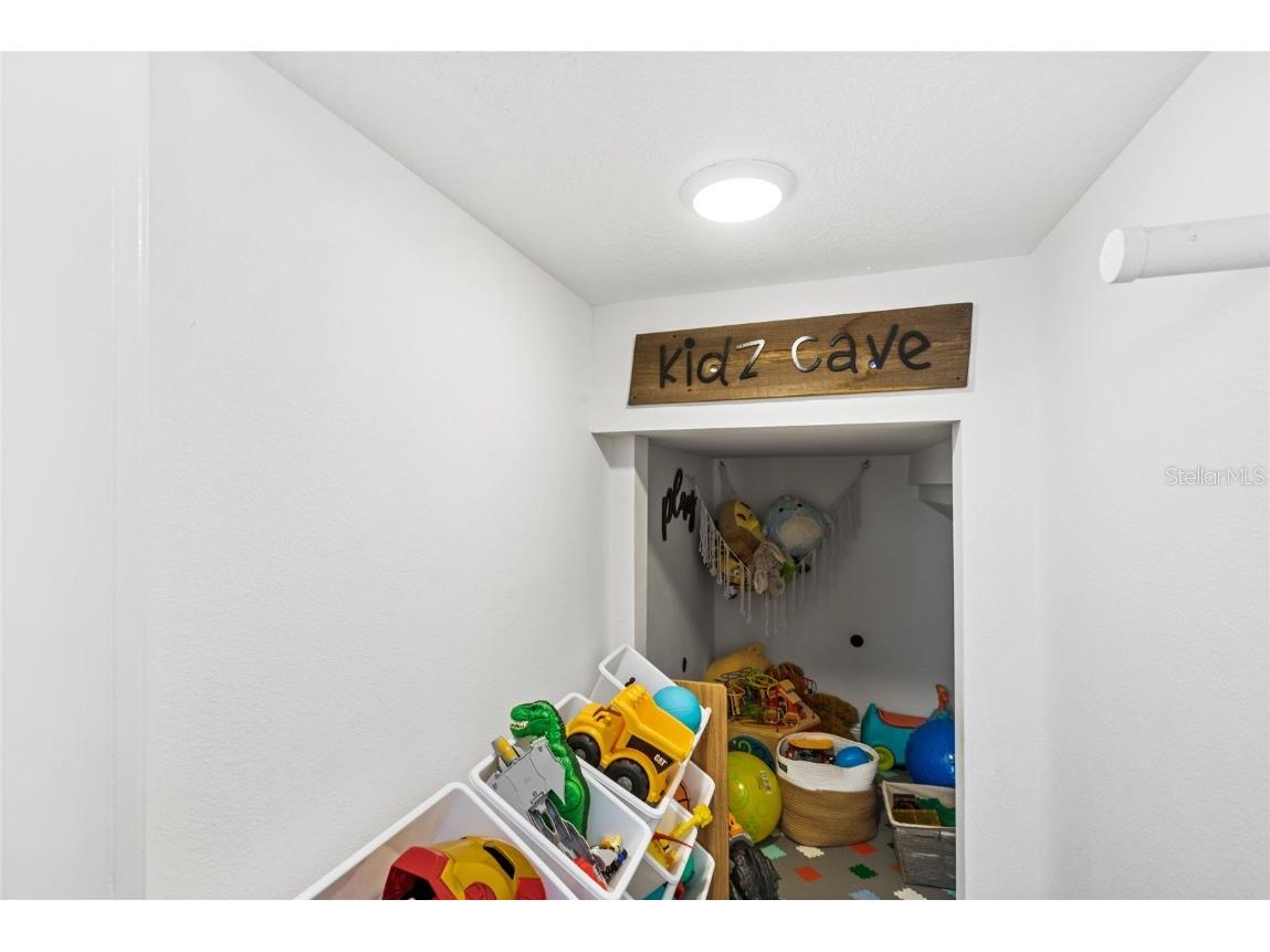 10236 Beechwood Lane Orlando FL 32832 O6287507 image25