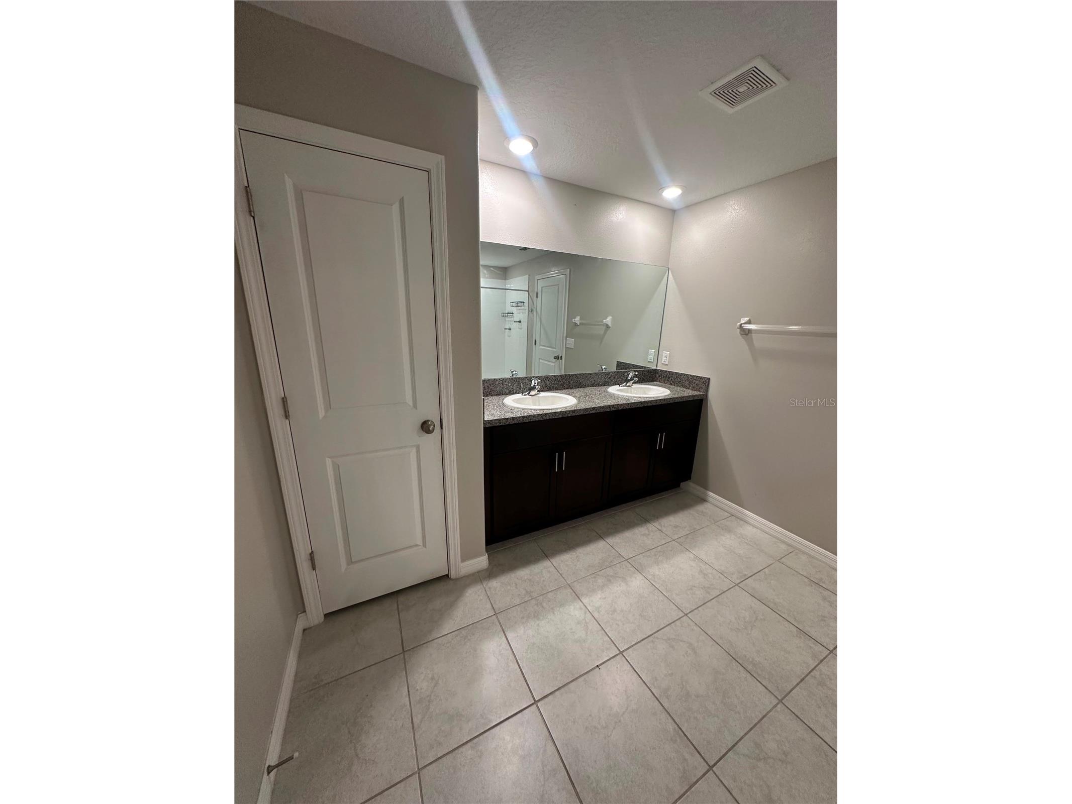 10236 Bright Crystal Avenue Riverview FL 33578 TB8517674 image27